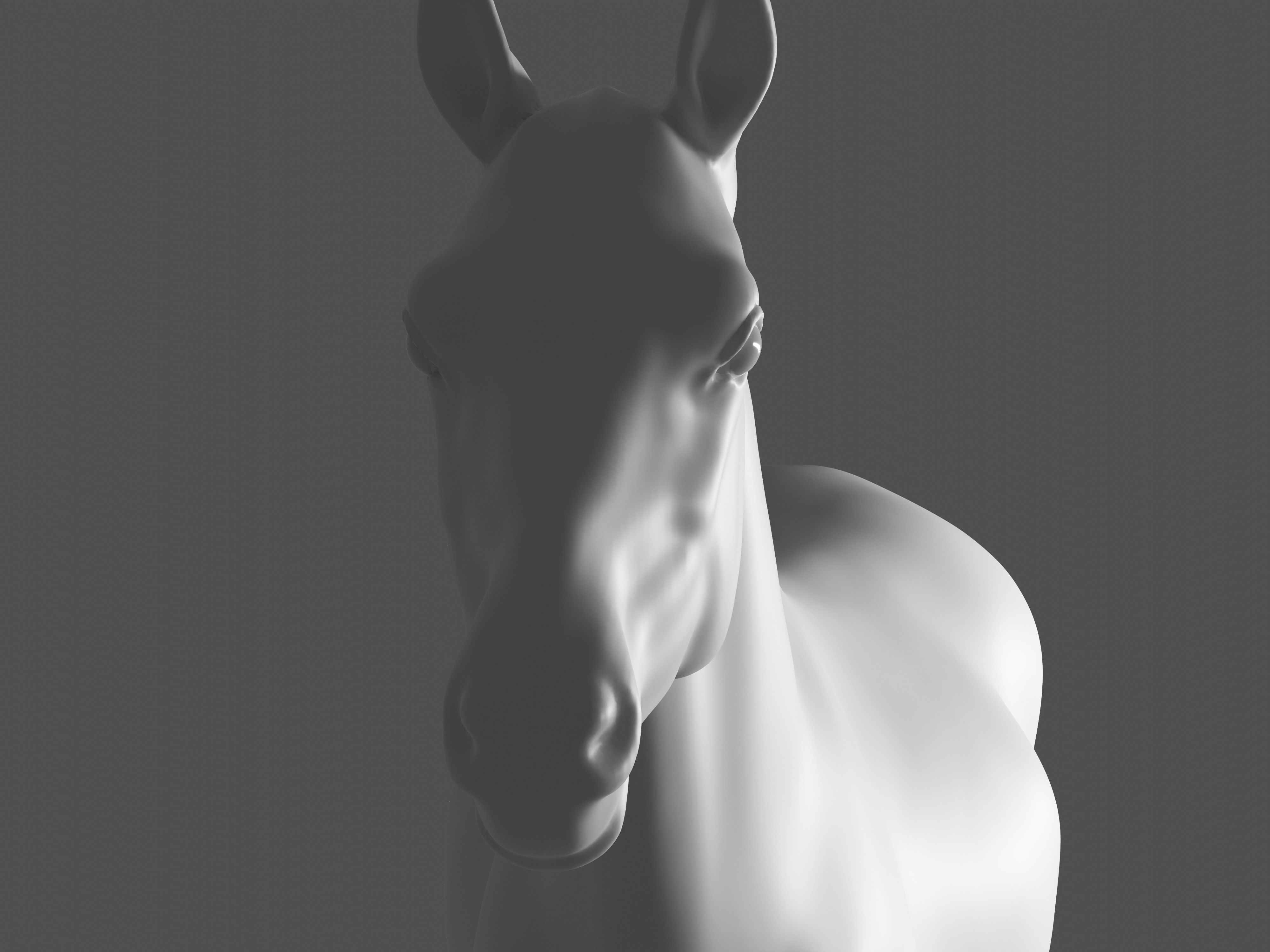 Most realistic horse 3D model_11