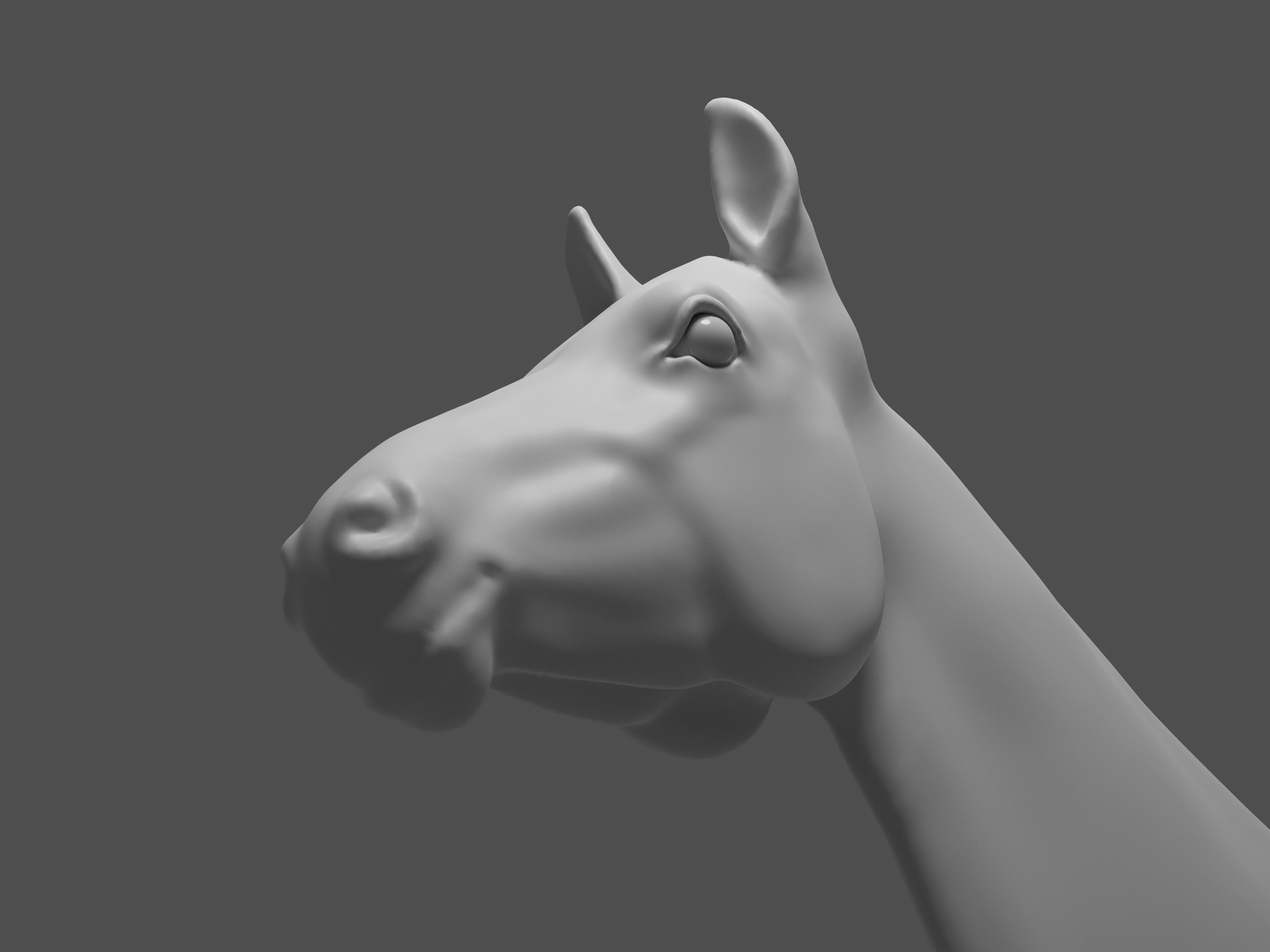 Most realistic horse 3D model_24