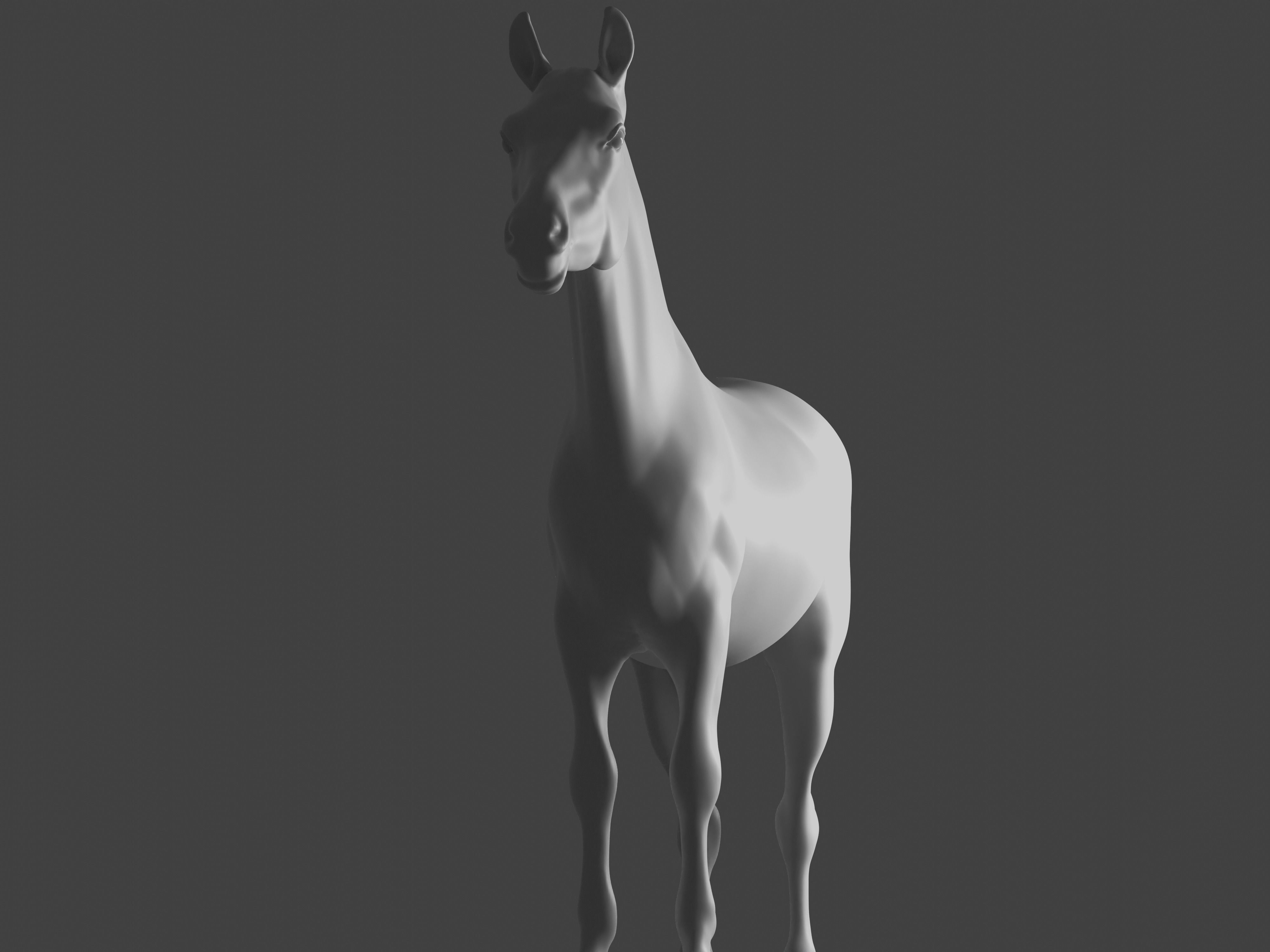 Most realistic horse 3D model_30