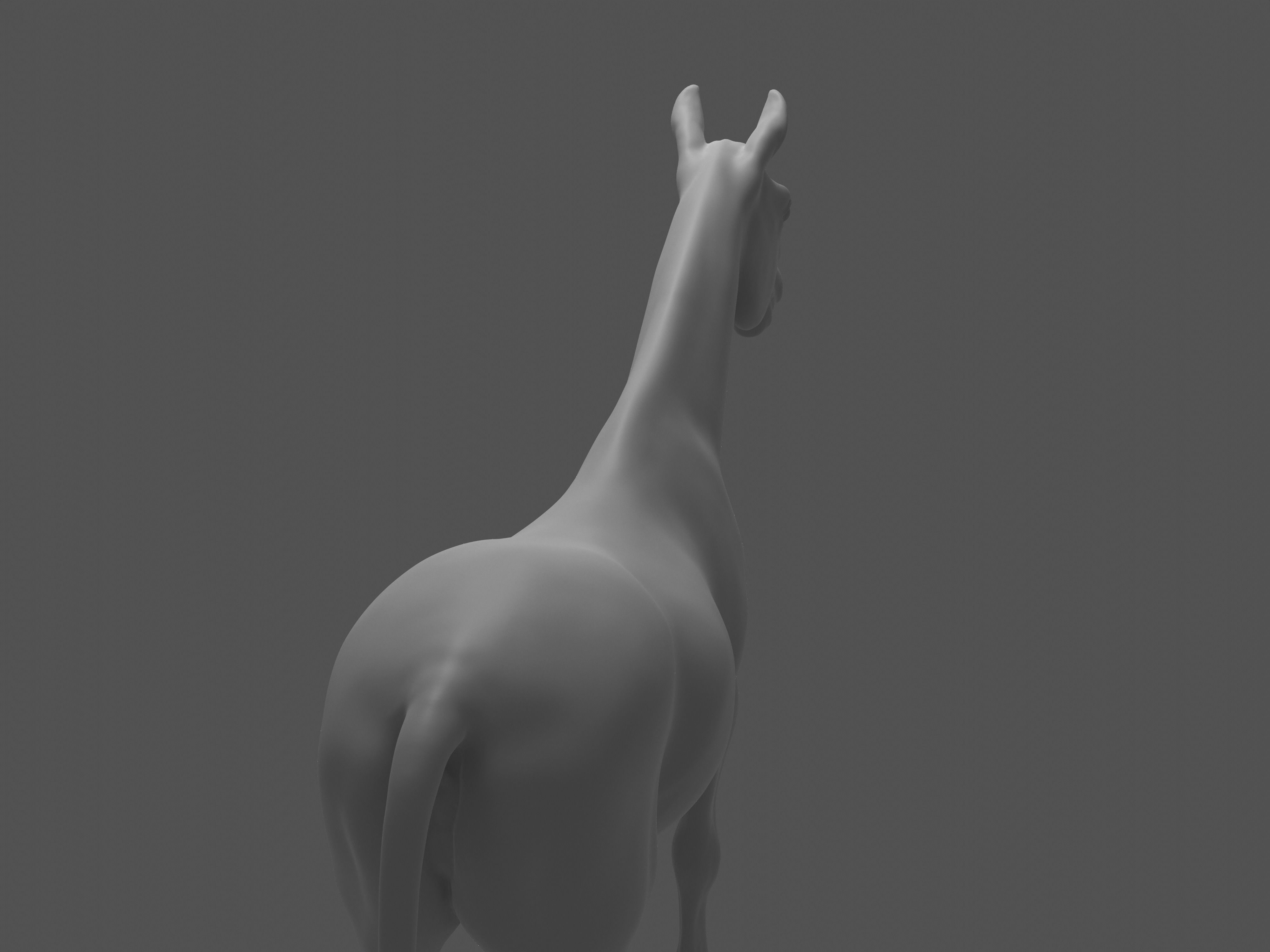 Most realistic horse 3D model_29