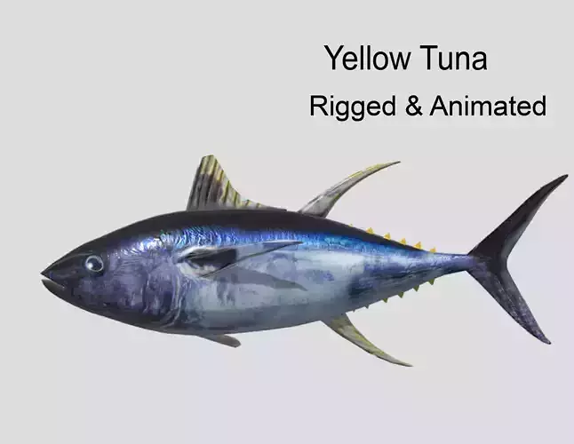 Yellowfin Tuna Low-poly 3D model