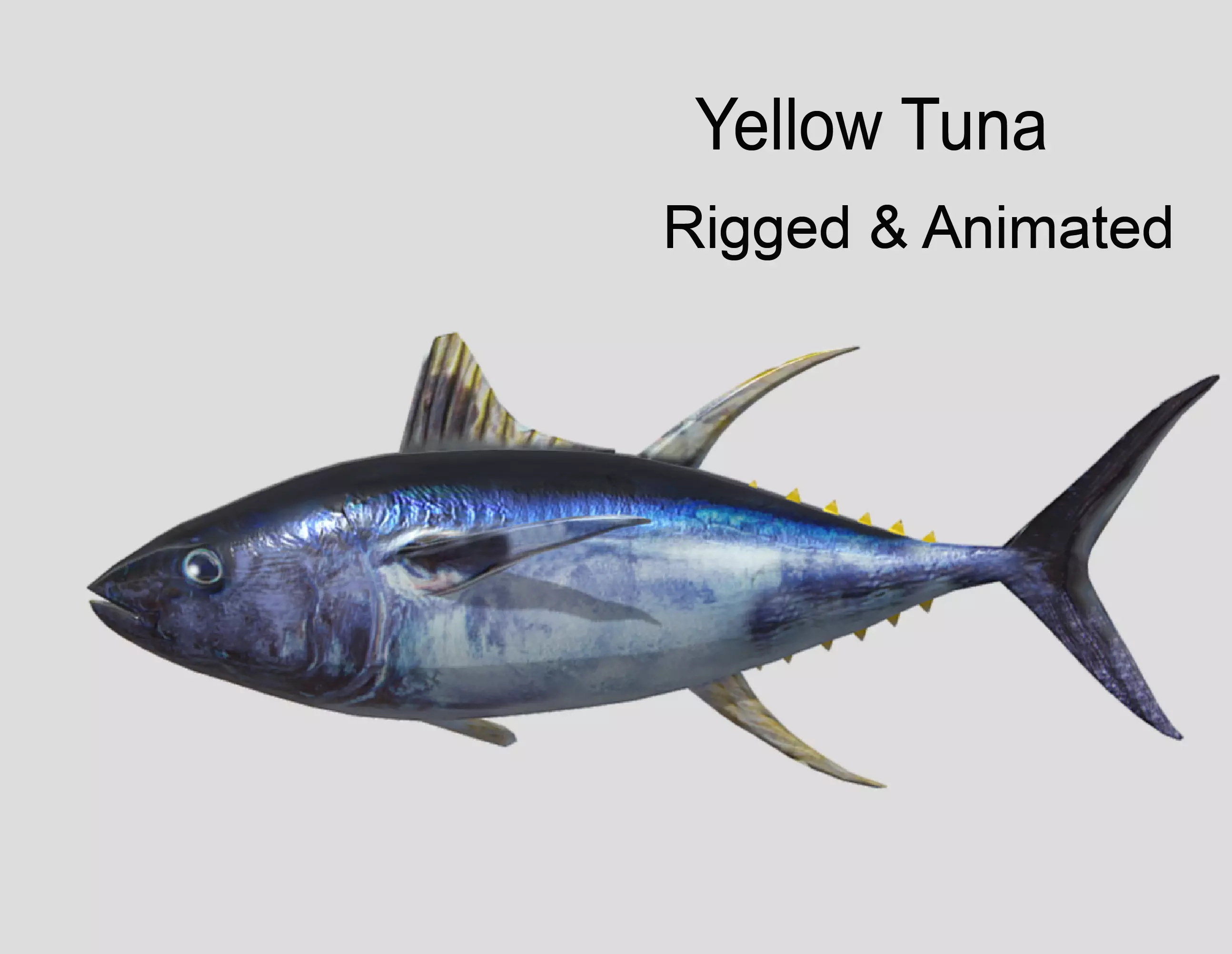 Yellowfin Tuna Low-poly 3D model_0