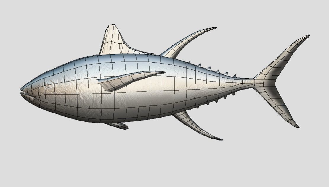 Yellowfin Tuna Low-poly 3D model_7