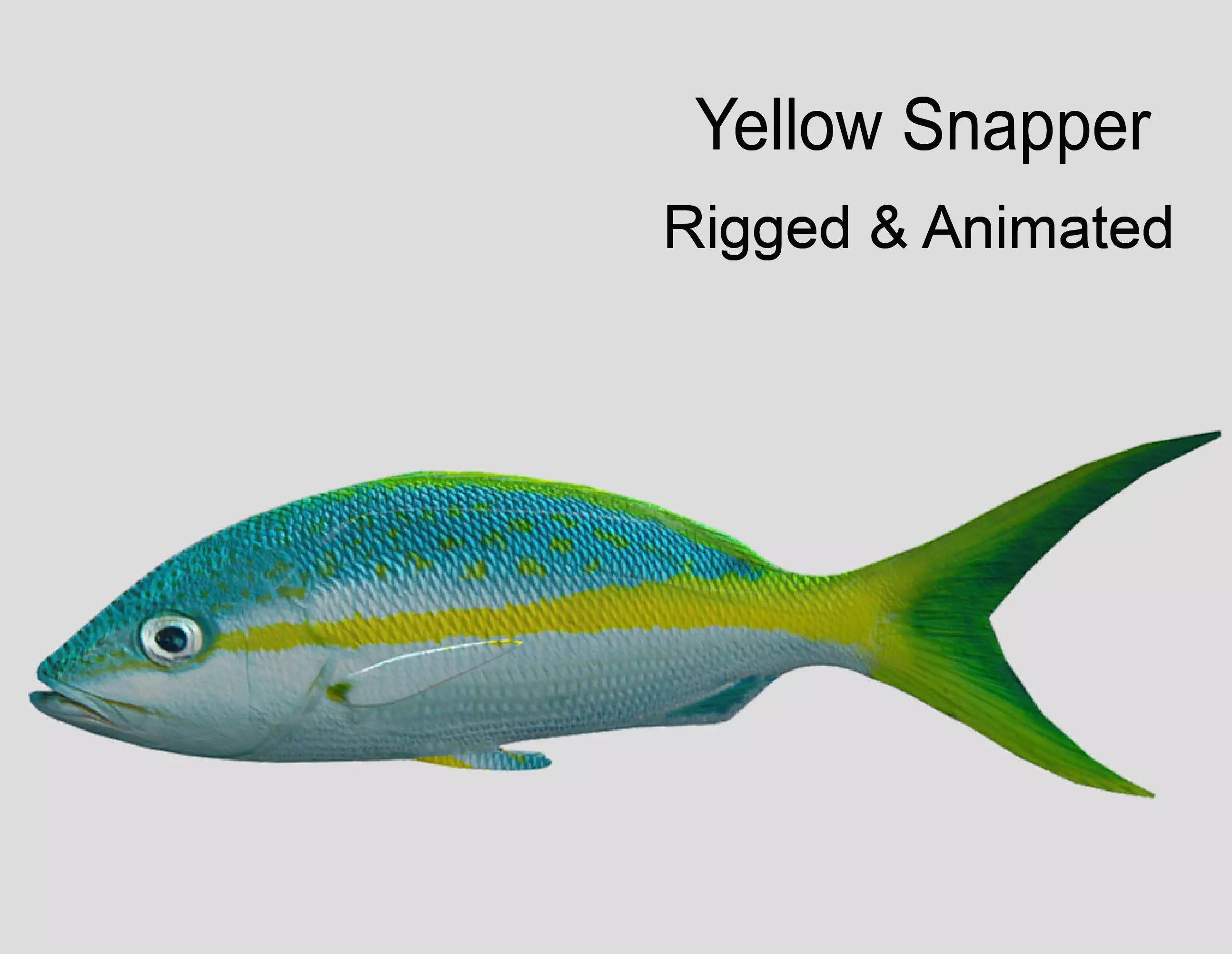 Yellow Snapper Low-poly 3D model_0