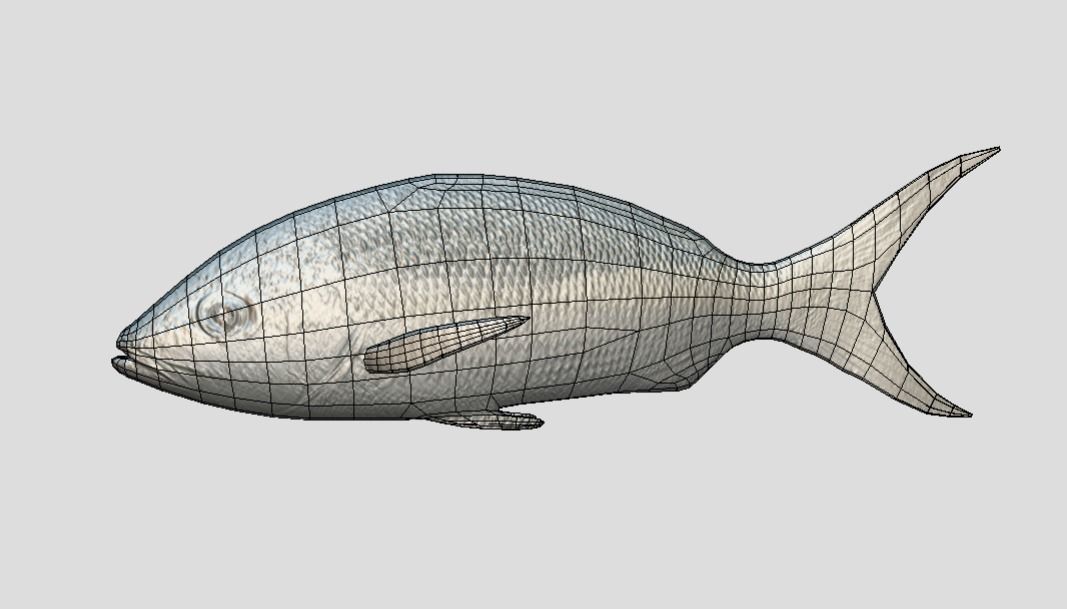 Yellow Snapper Low-poly 3D model_5