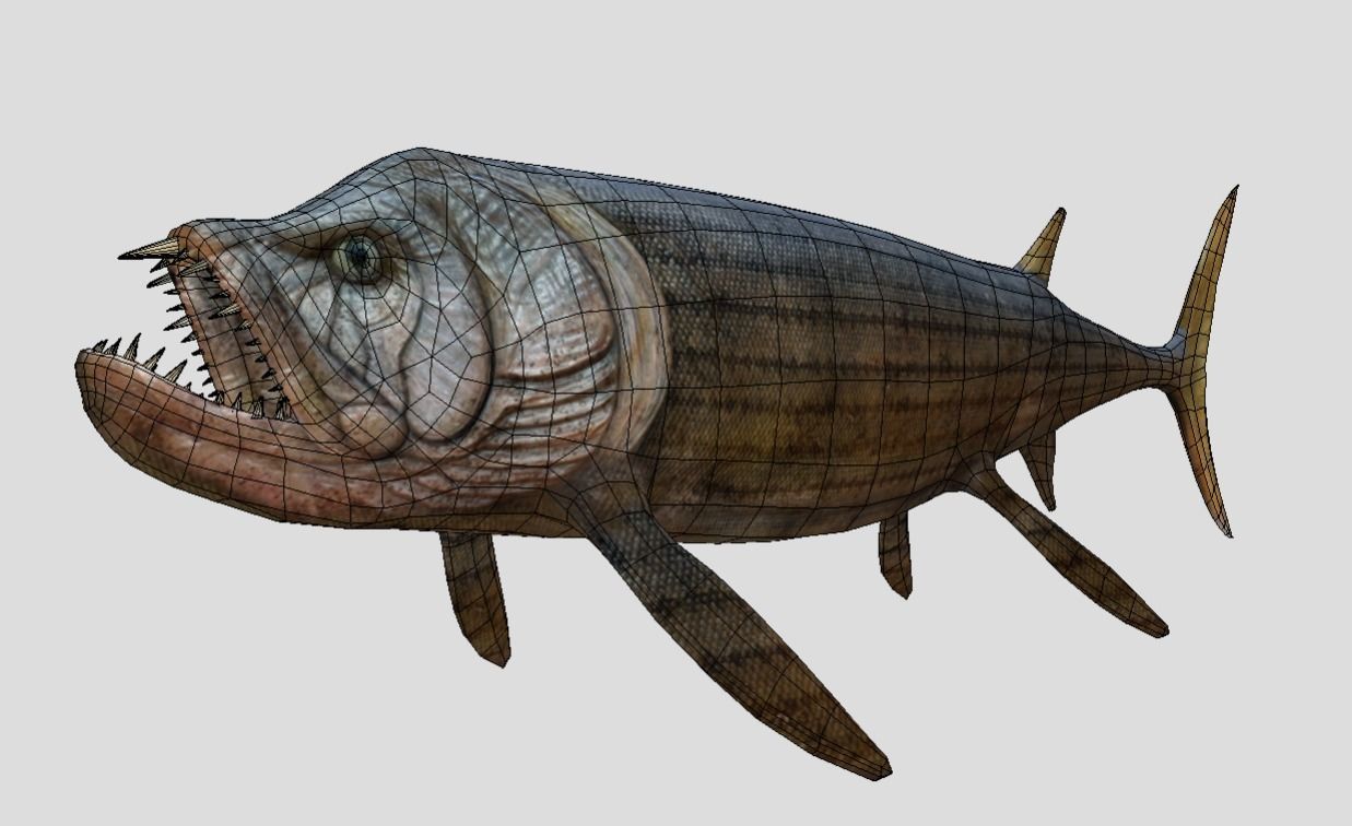 Xiphactinus Low-poly 3D model_2