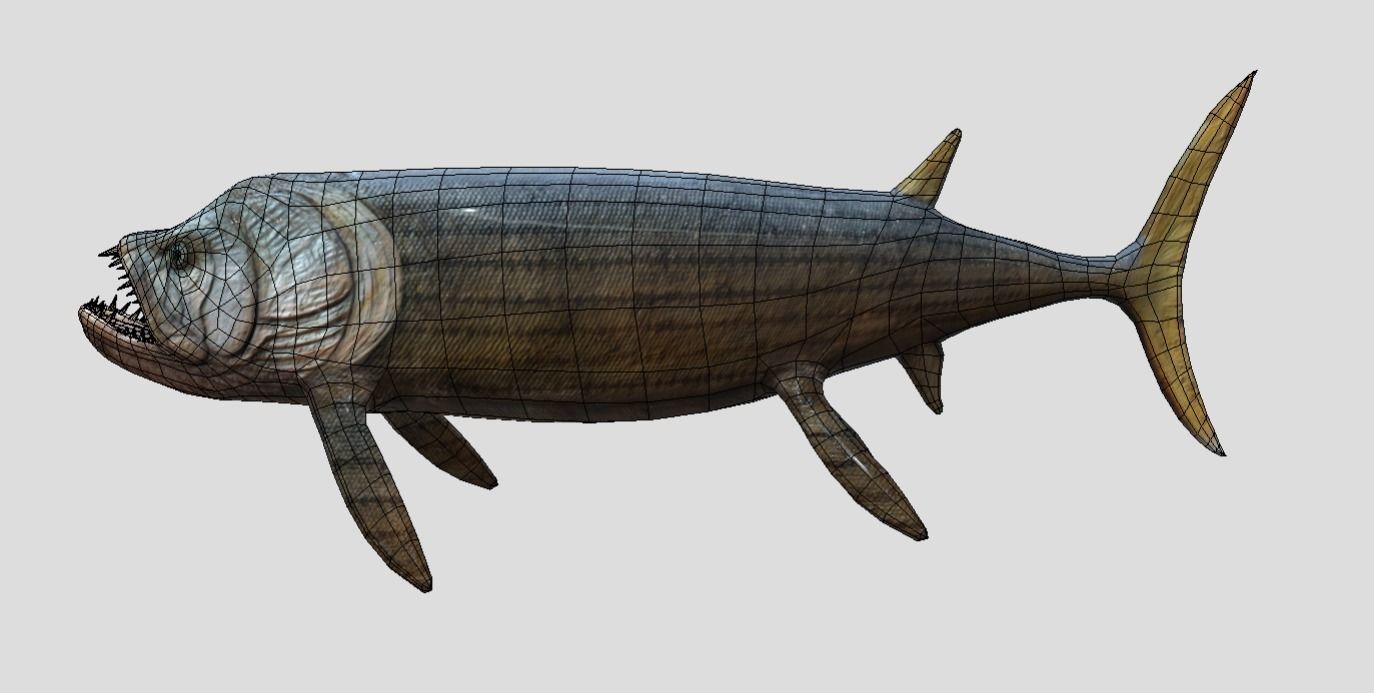 Xiphactinus Low-poly 3D model_15
