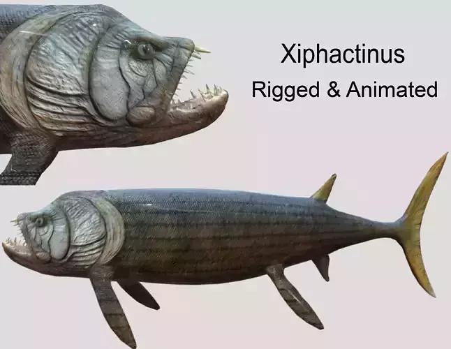 Xiphactinus Low-poly 3D model