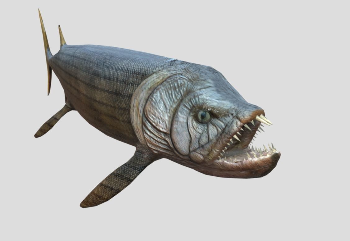 Xiphactinus Low-poly 3D model_8