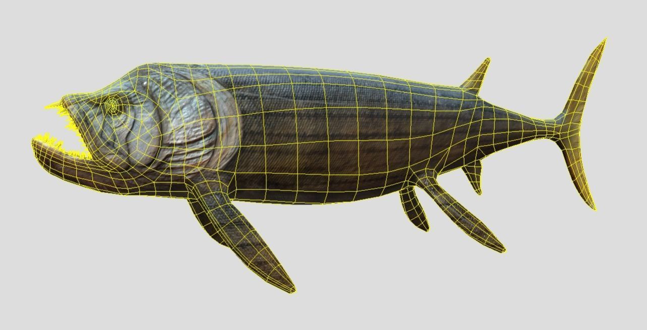 Xiphactinus Low-poly 3D model_14