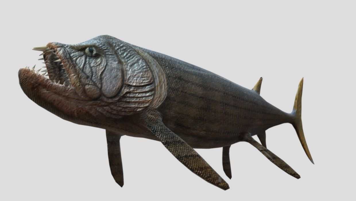 Xiphactinus Low-poly 3D model_12