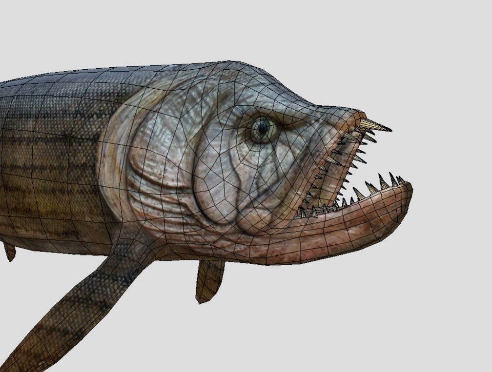 Xiphactinus Low-poly 3D model_10