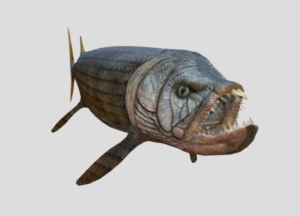 Xiphactinus Low-poly 3D model_4