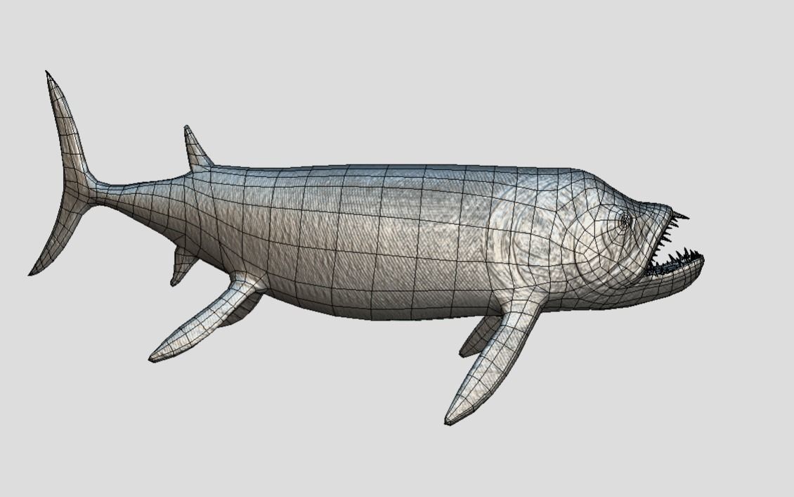 Xiphactinus Low-poly 3D model_16