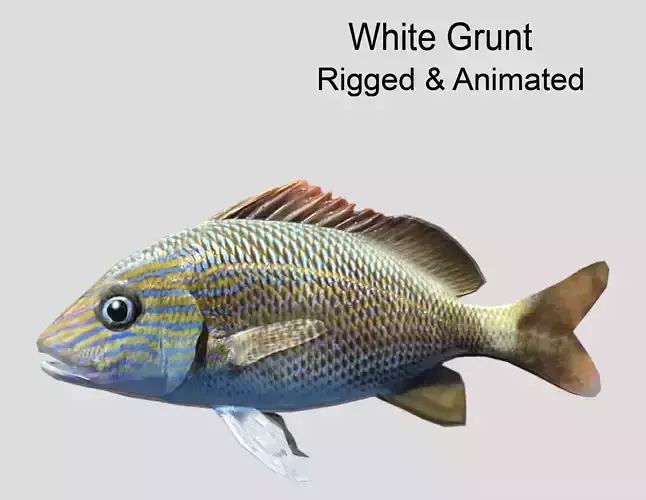 White  Grunt Low-poly 3D model