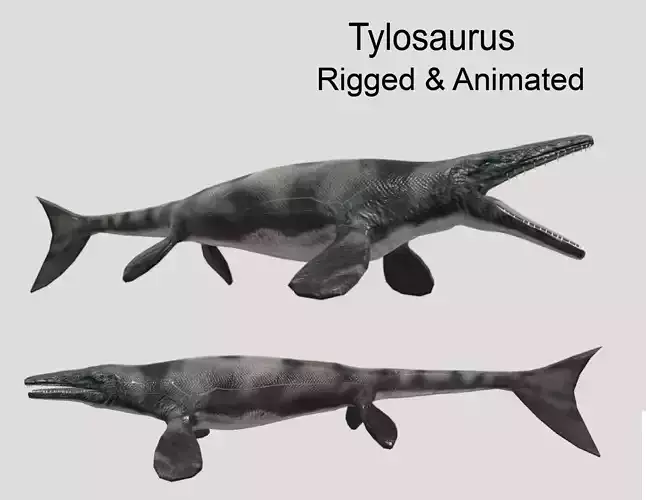 Tylosaurus Low-poly 3D model
