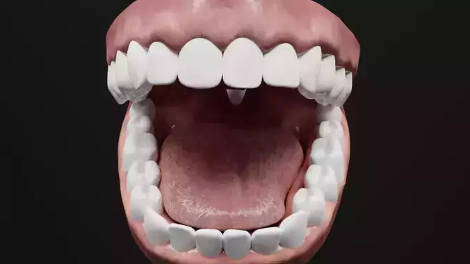 Teeth Impression Gums and Tool 3D model