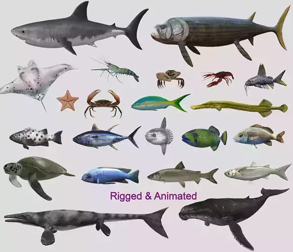 Fish Collection Animated - Game Ready Pack 4 