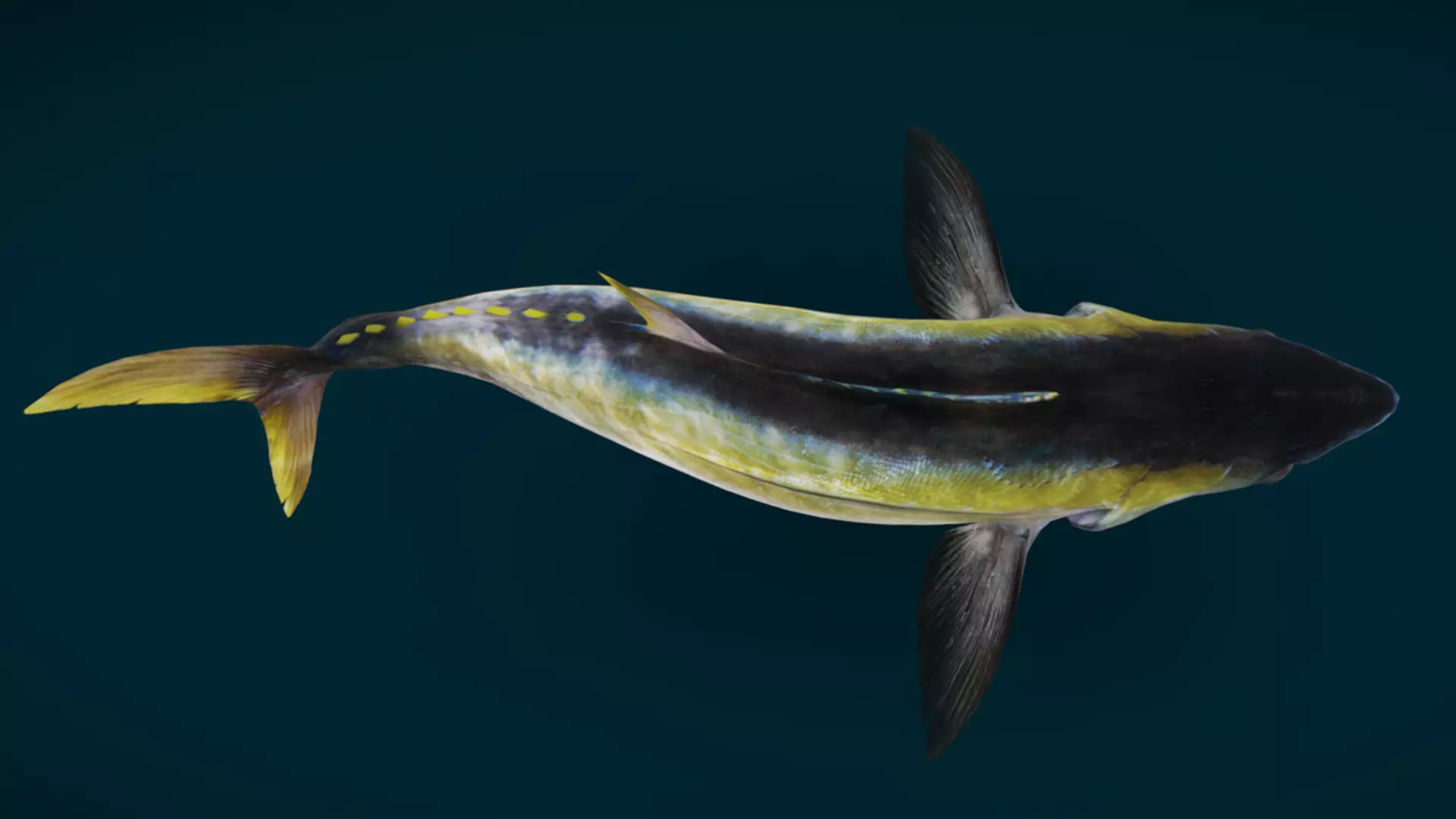 Ocean and River Fish Collection - Game Ready  Low-poly 3D model_10