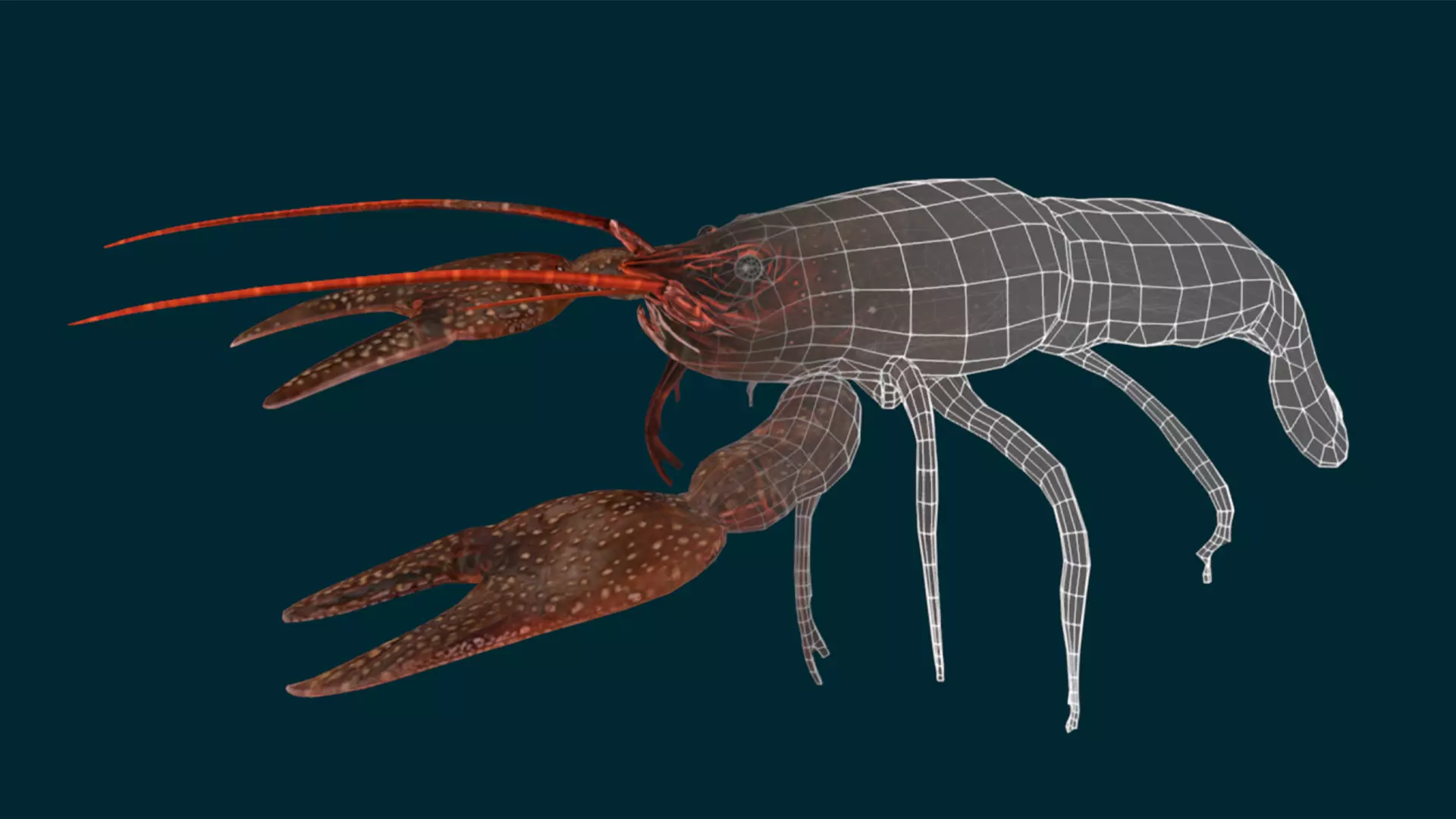 Ocean and River Fish Collection - Game Ready  Low-poly 3D model_34