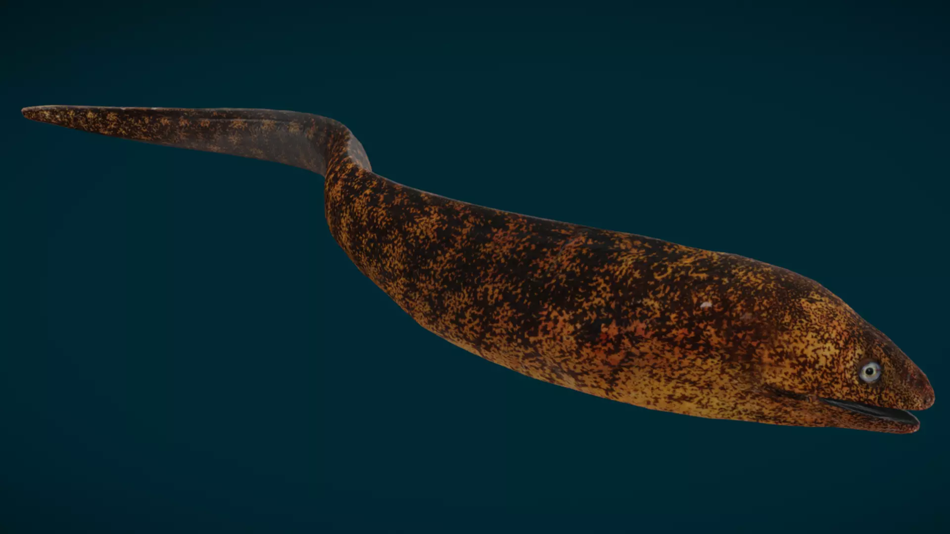 Ocean and River Fish Collection - Game Ready  Low-poly 3D model_24