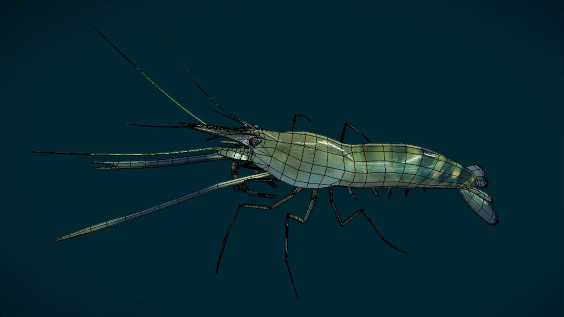 Ocean and River Fish Collection - Game Ready  Low-poly 3D model_28