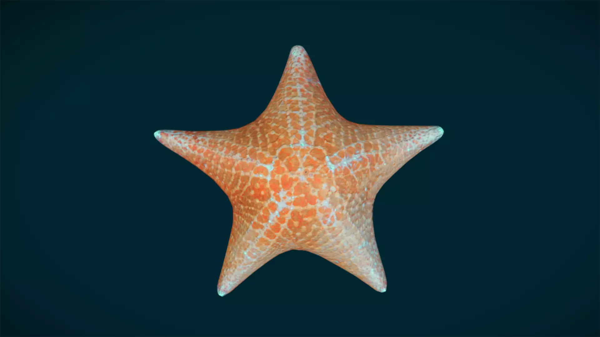 Ocean and River Fish Collection - Game Ready  Low-poly 3D model_36