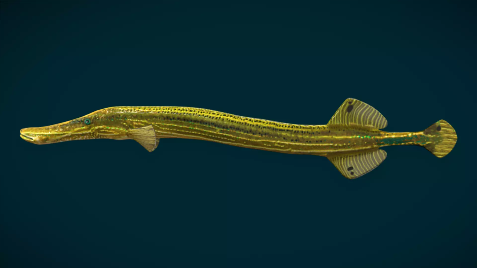 Ocean and River Fish Collection - Game Ready  Low-poly 3D model_45