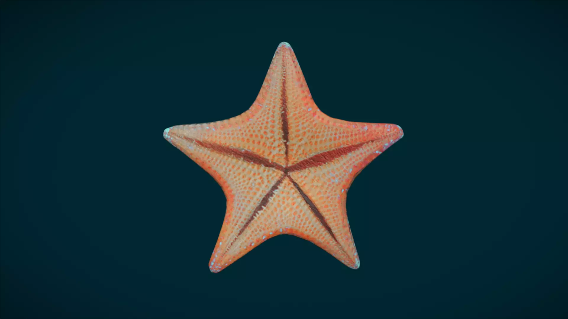 Ocean and River Fish Collection - Game Ready  Low-poly 3D model_35