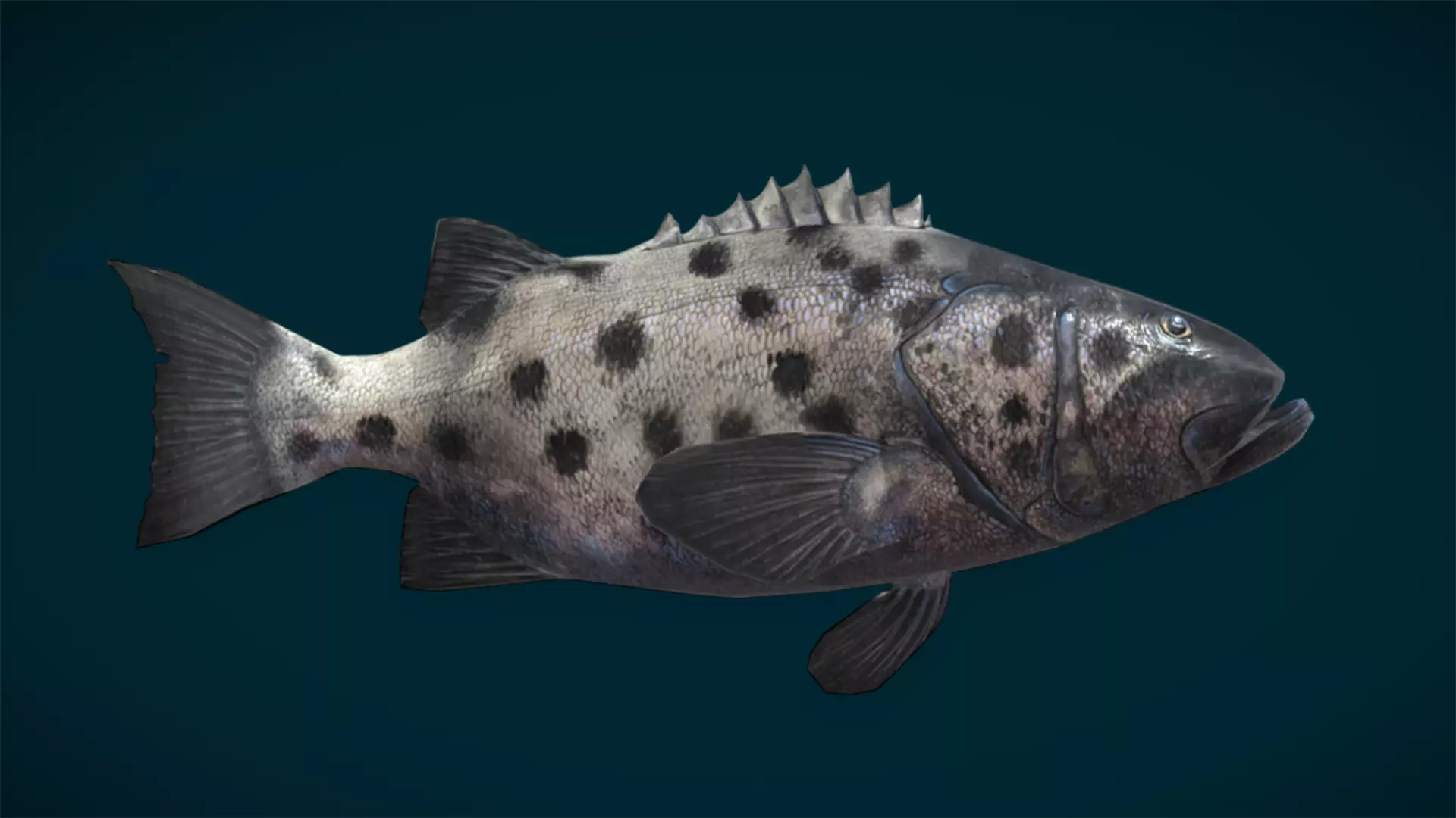 Ocean and River Fish Collection - Game Ready  Low-poly 3D model_55