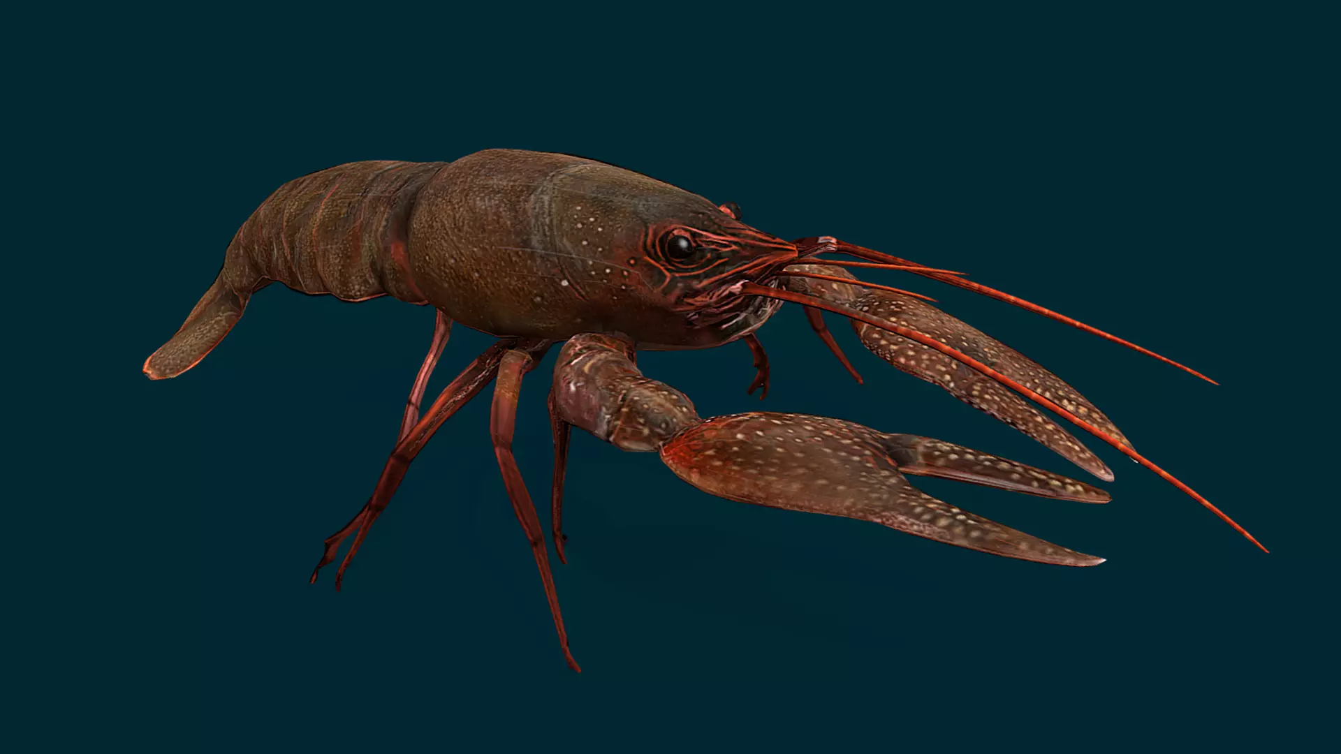 Ocean and River Fish Collection - Game Ready  Low-poly 3D model_33