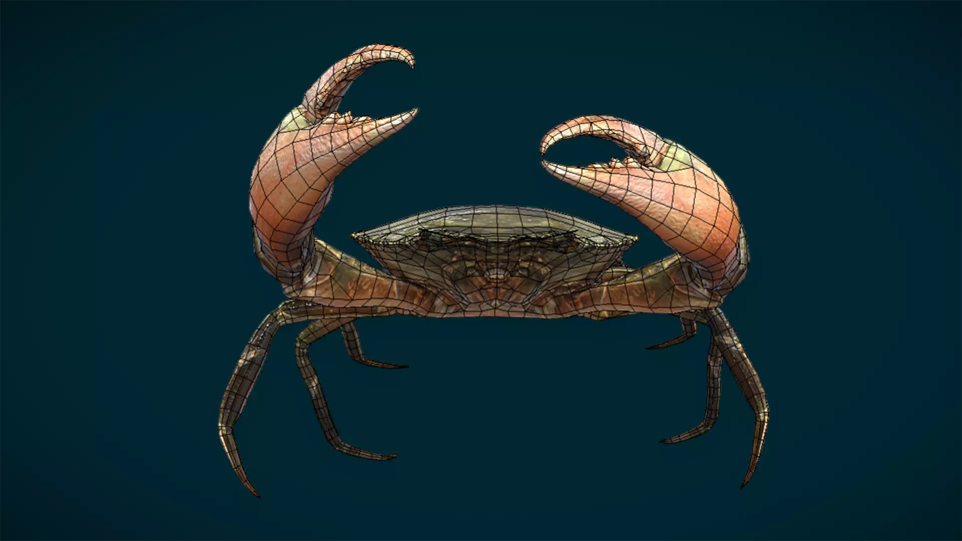 Ocean and River Fish Collection - Game Ready  Low-poly 3D model_14