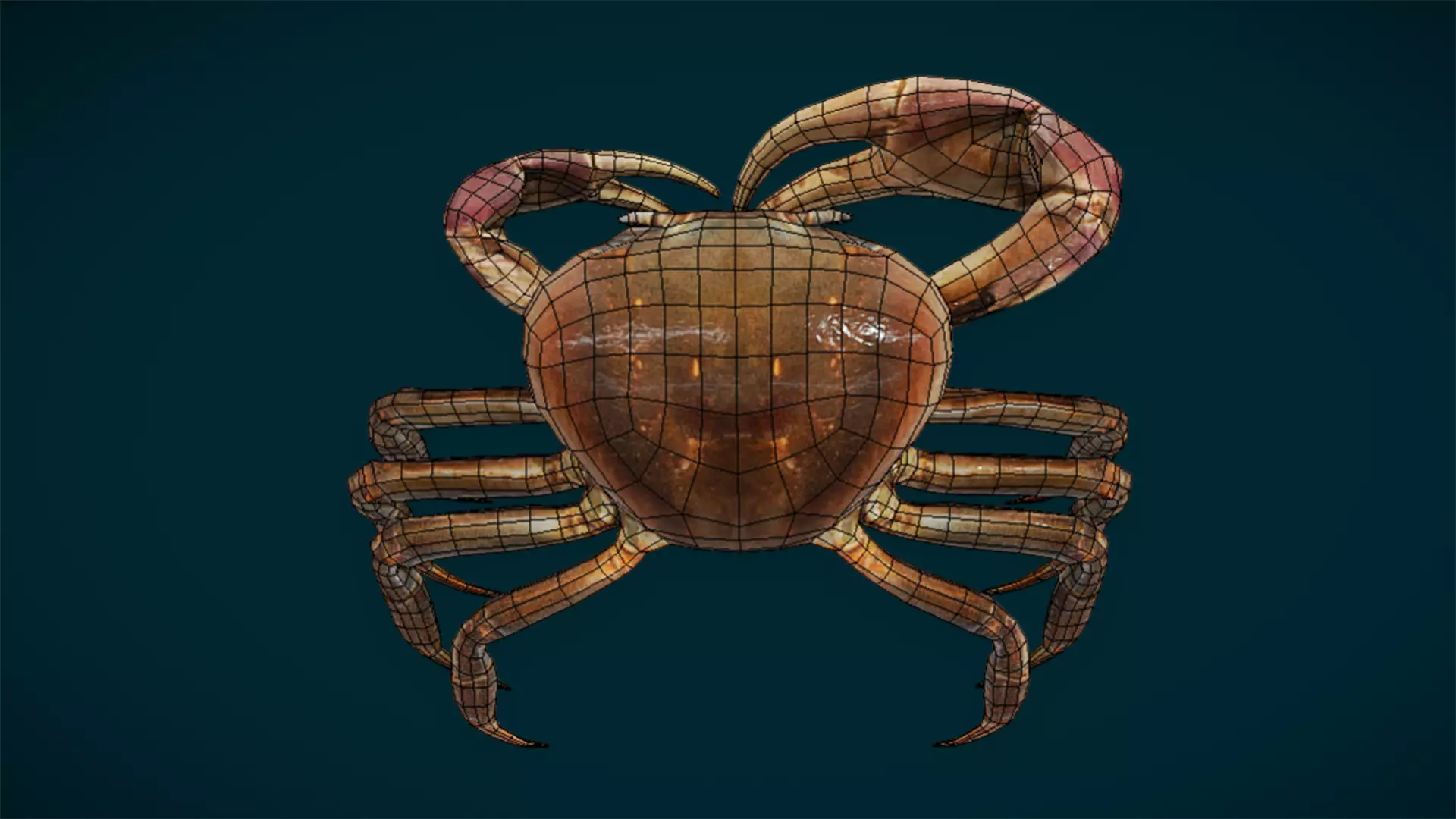 Ocean and River Fish Collection - Game Ready  Low-poly 3D model_43