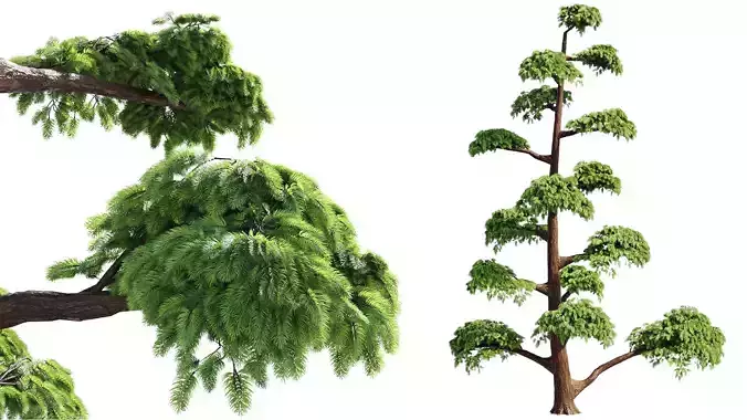 Pruned Pine - HQ - PBR