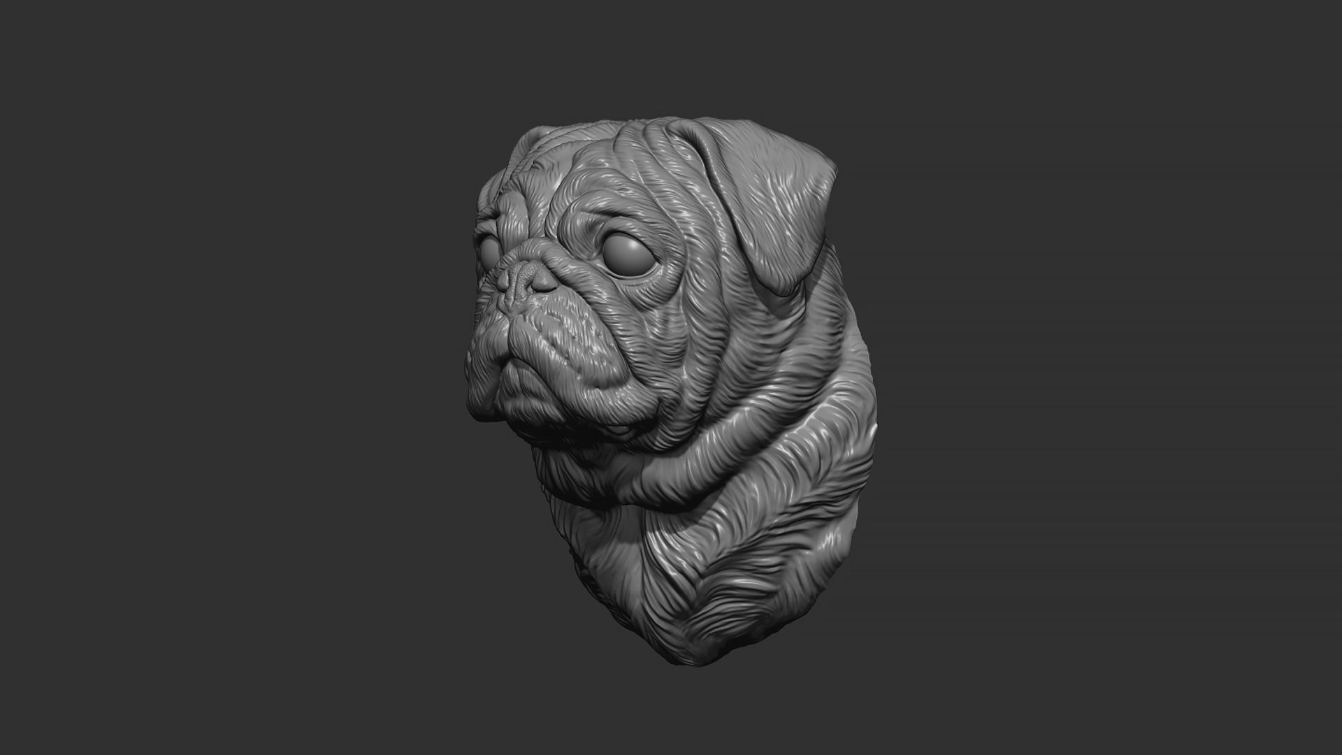 Pug  dog head 3D print model_8