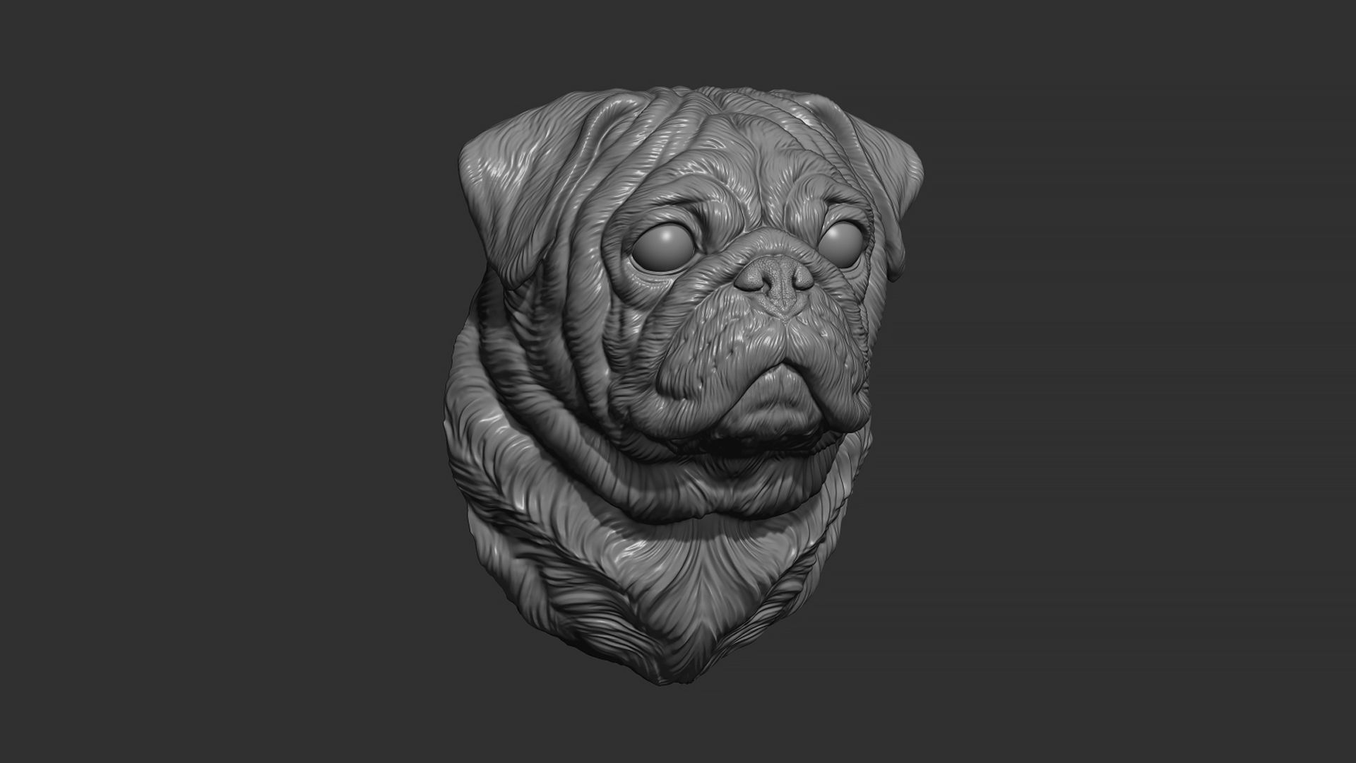 Pug  dog head 3D print model_6