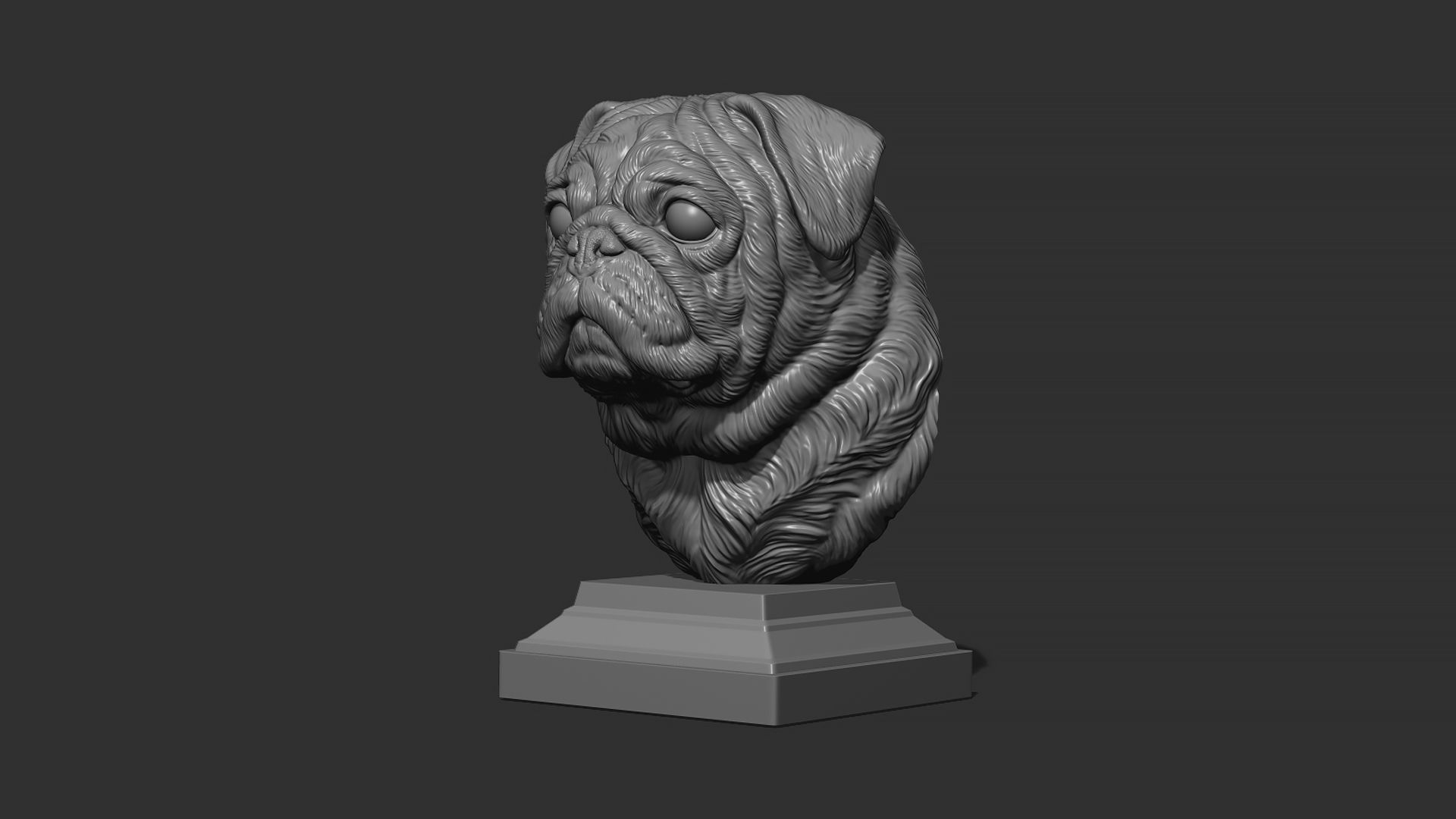Pug  dog head 3D print model_19