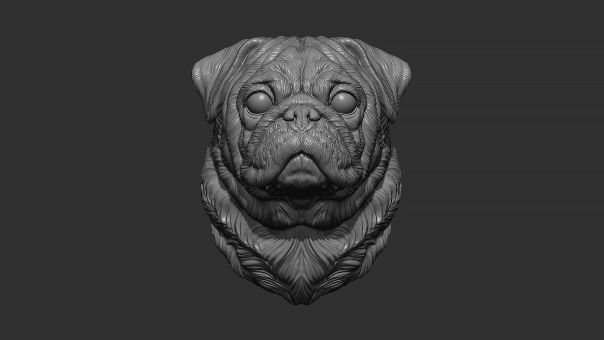 Pug  dog head 3D print model_3