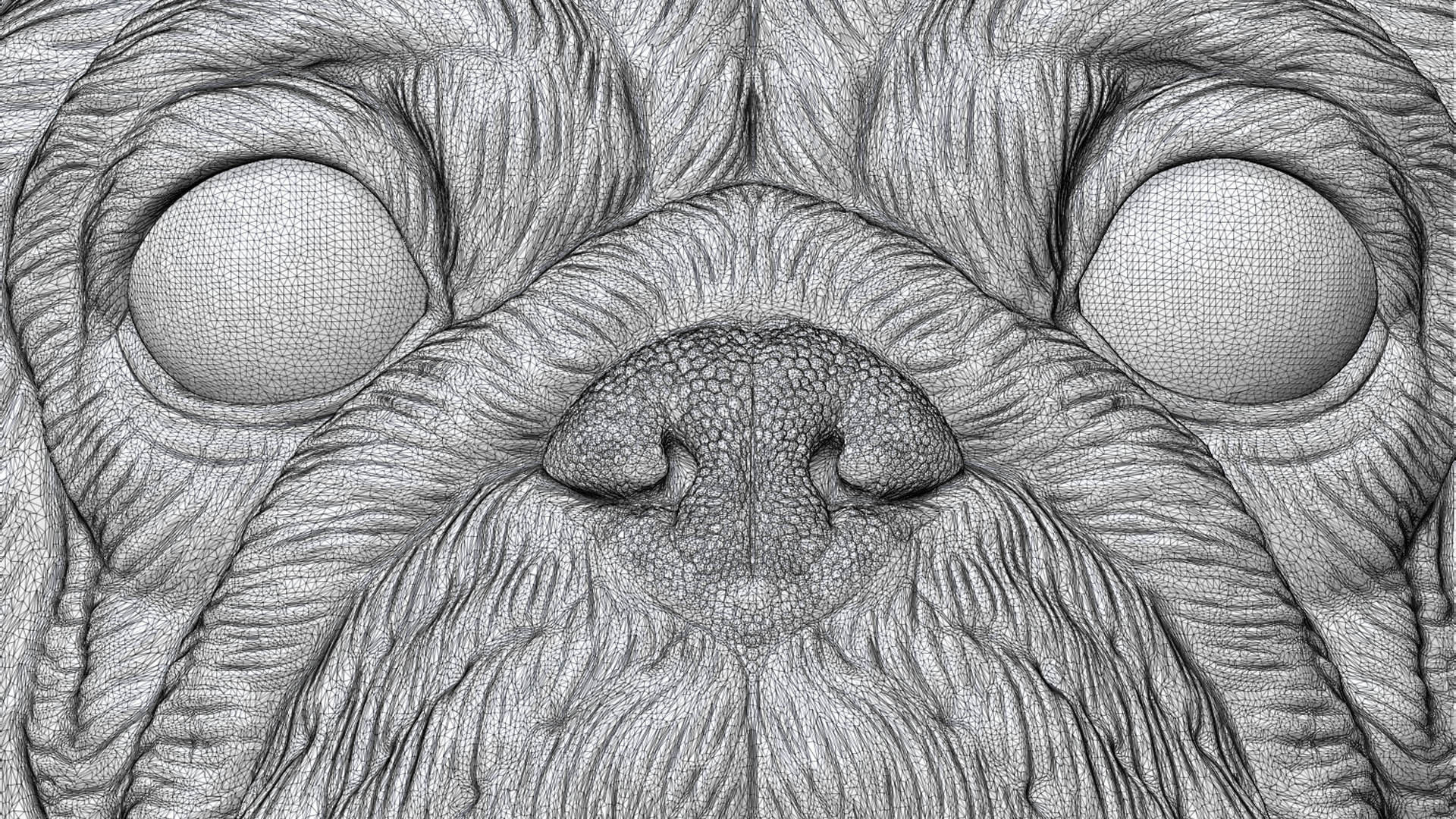 Pug  dog head 3D print model_25