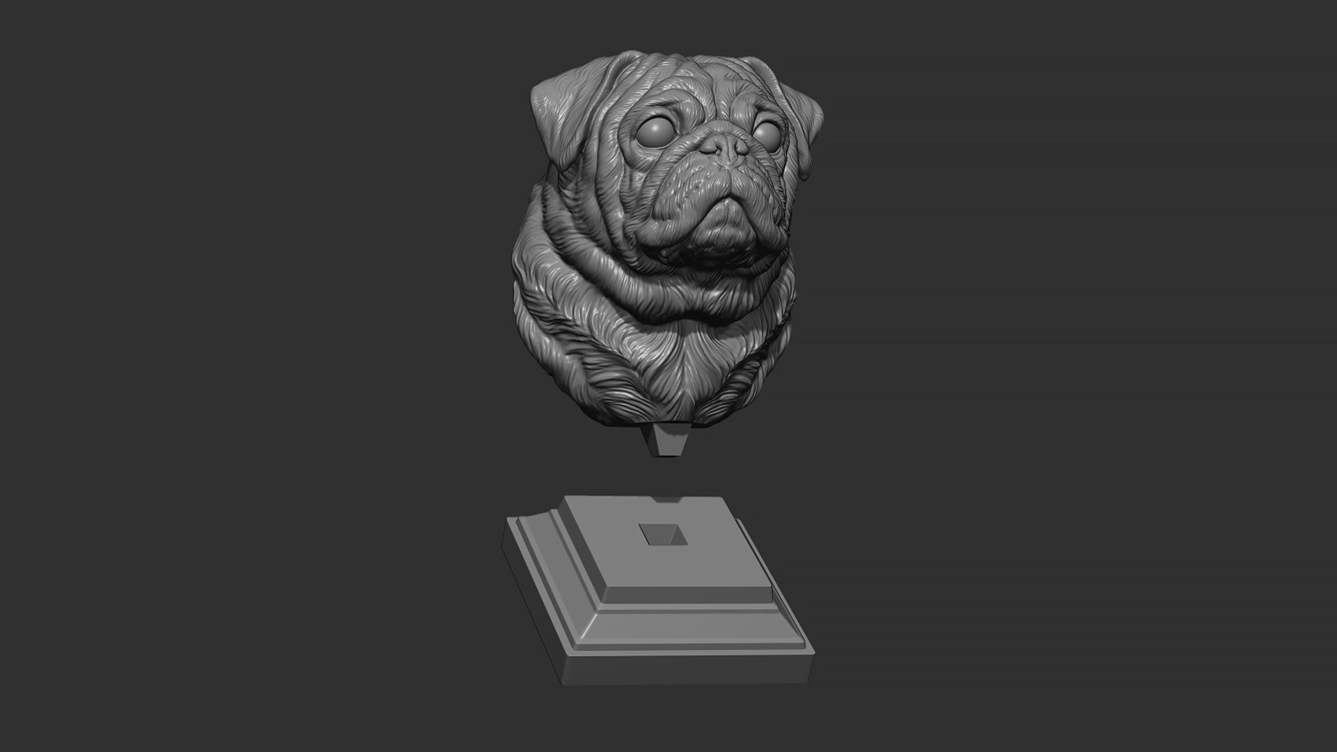 Pug  dog head 3D print model_24