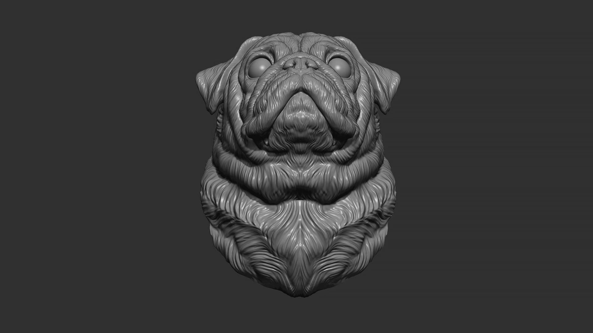 Pug  dog head 3D print model_5