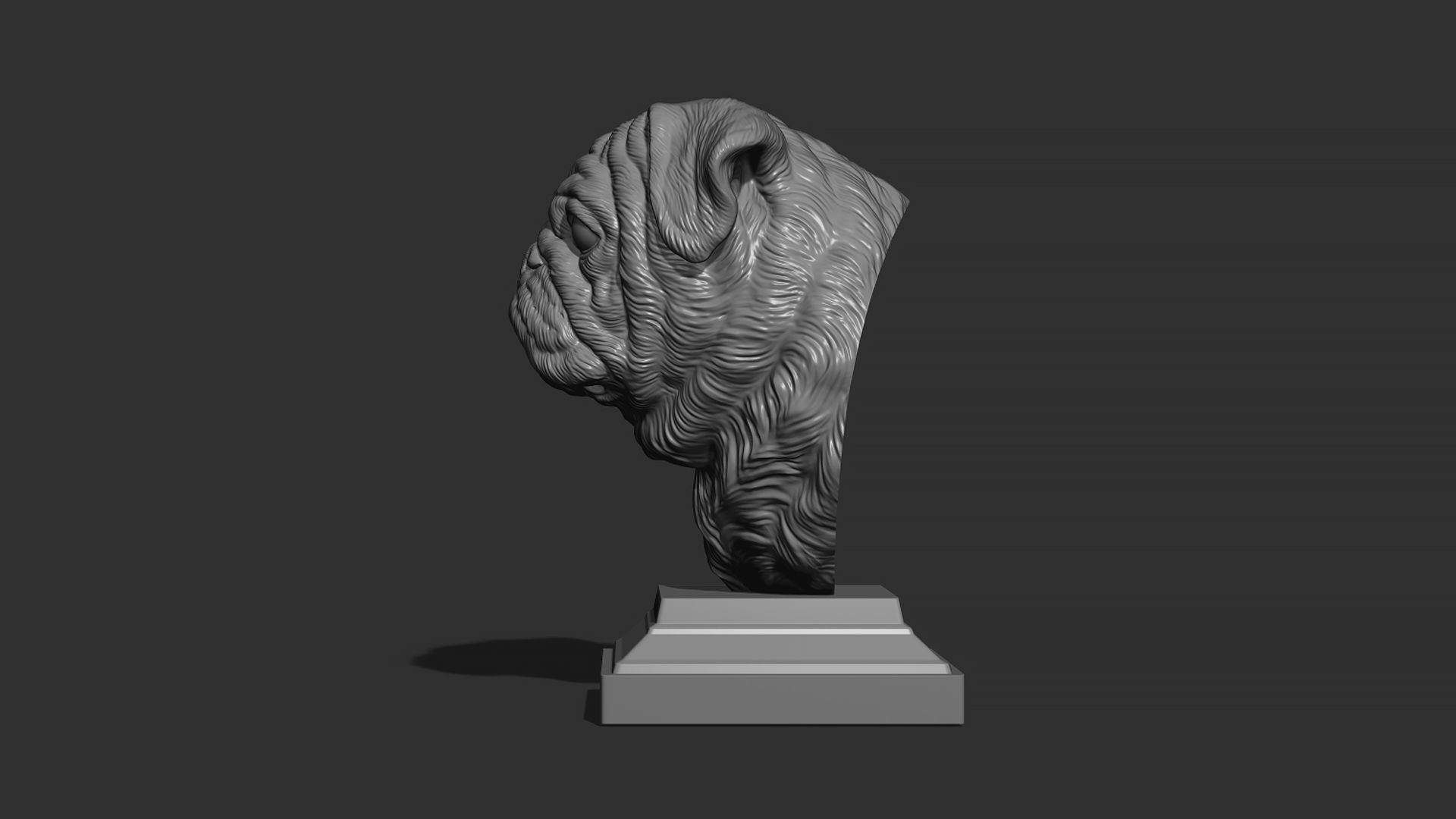 Pug  dog head 3D print model_18