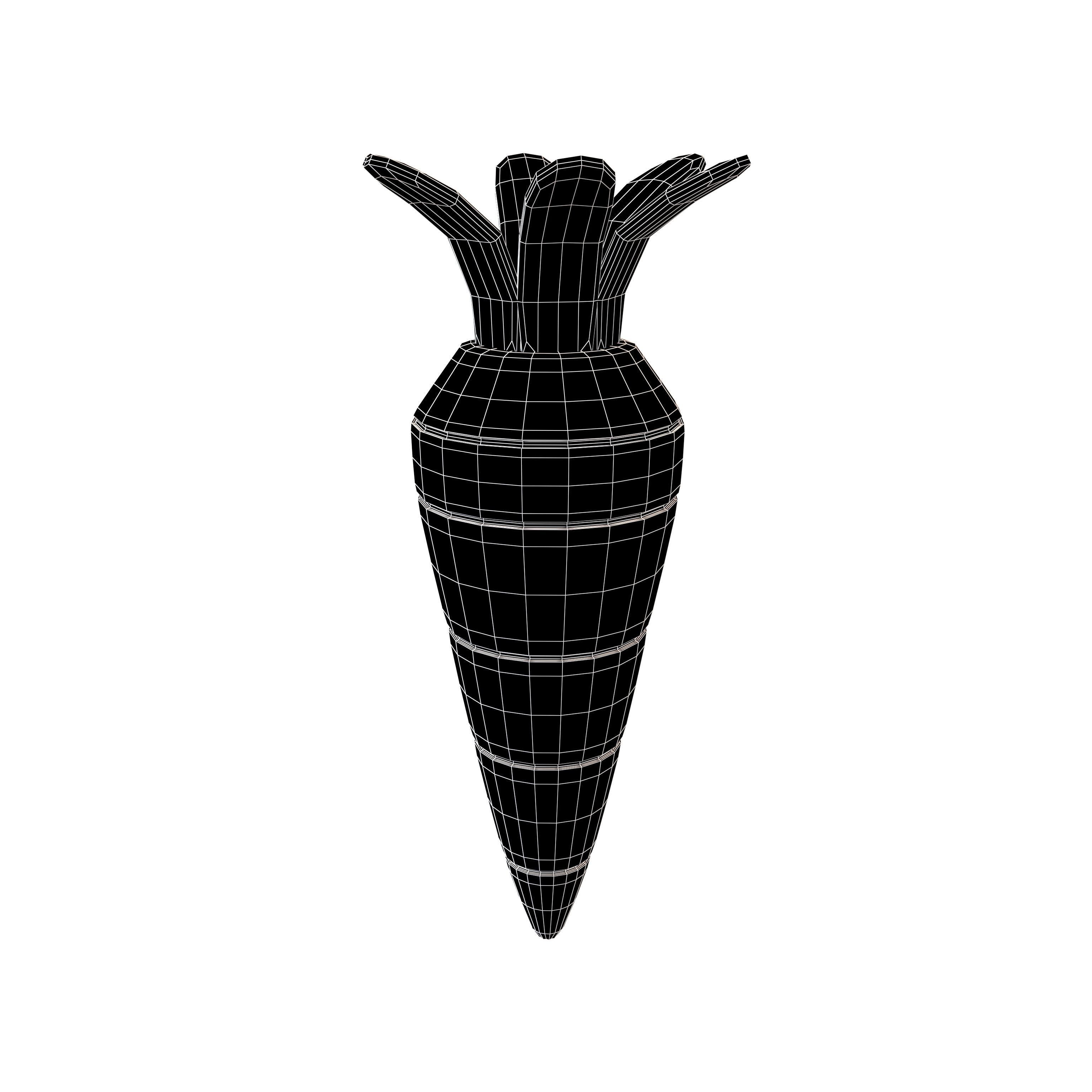 Carrot V1 001 Low-poly 3D model_4