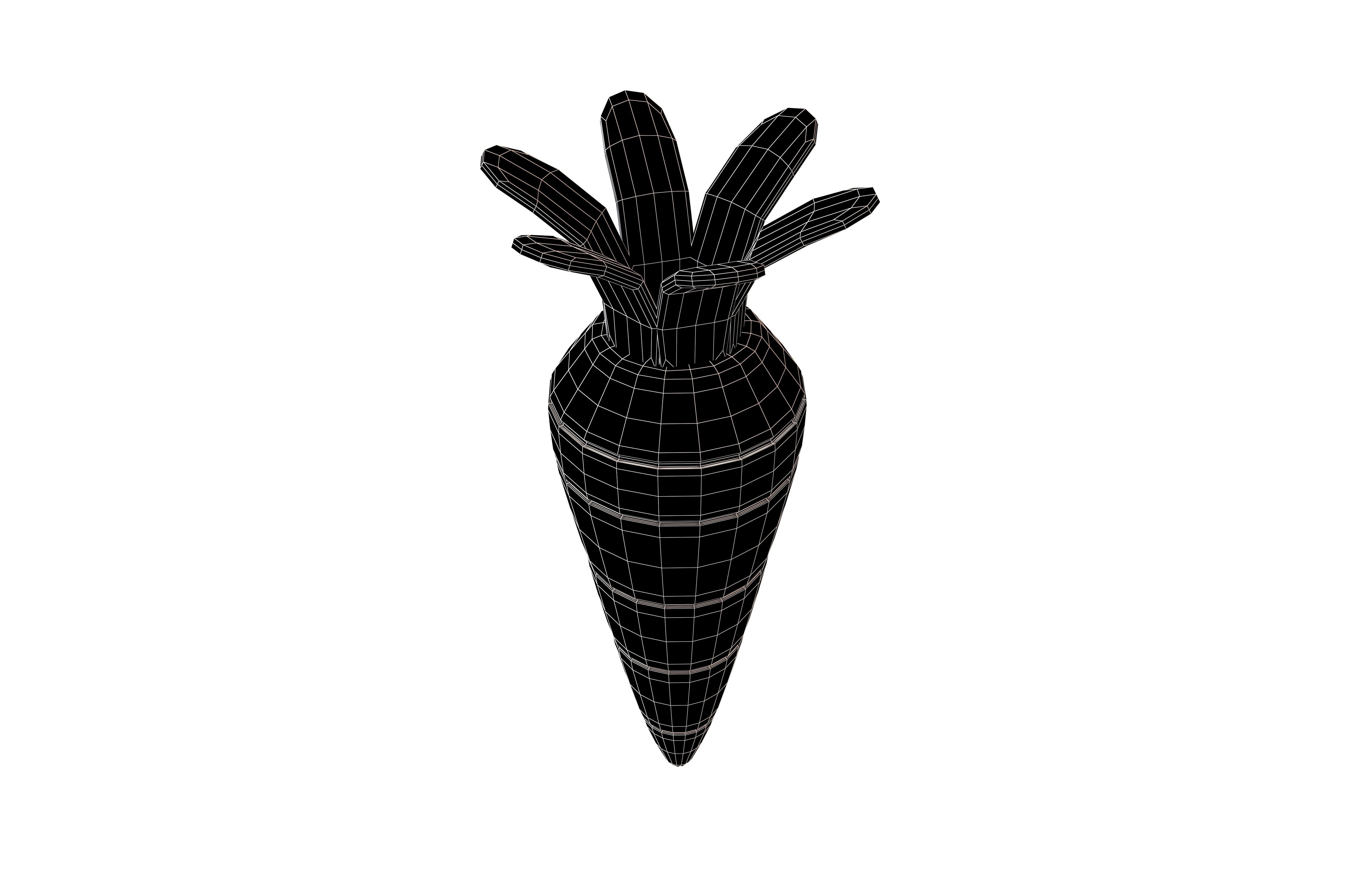 Carrot V1 001 Low-poly 3D model_7