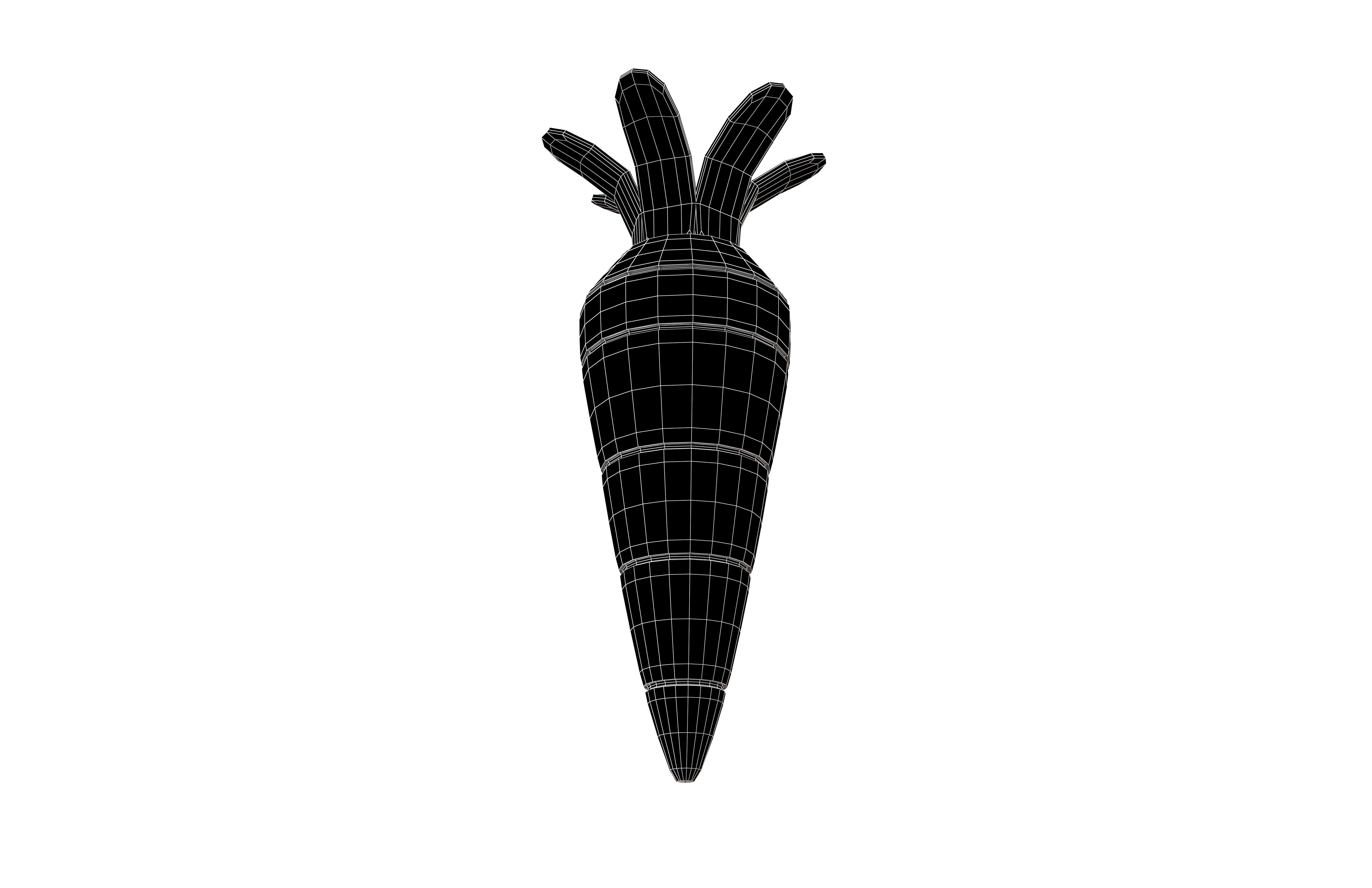 Carrot V1 001 Low-poly 3D model_5