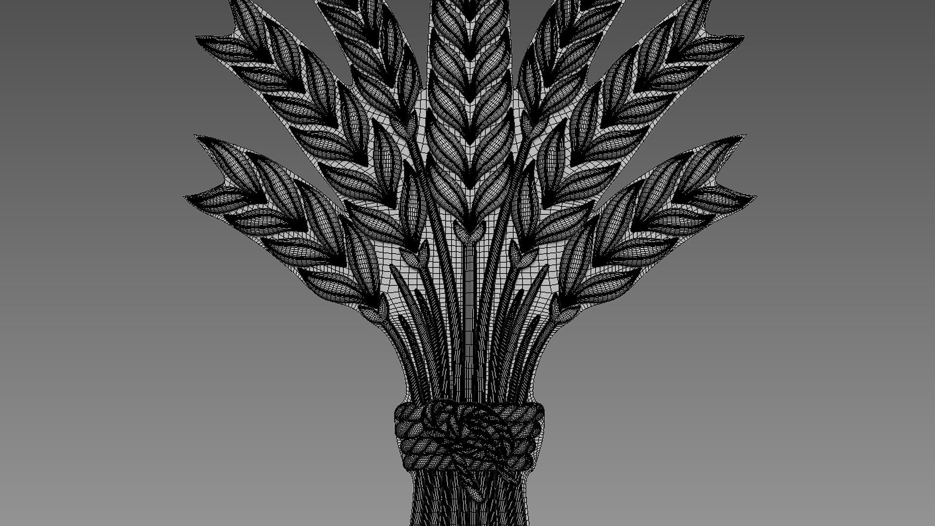 Spikelets of wheat 3D model_5