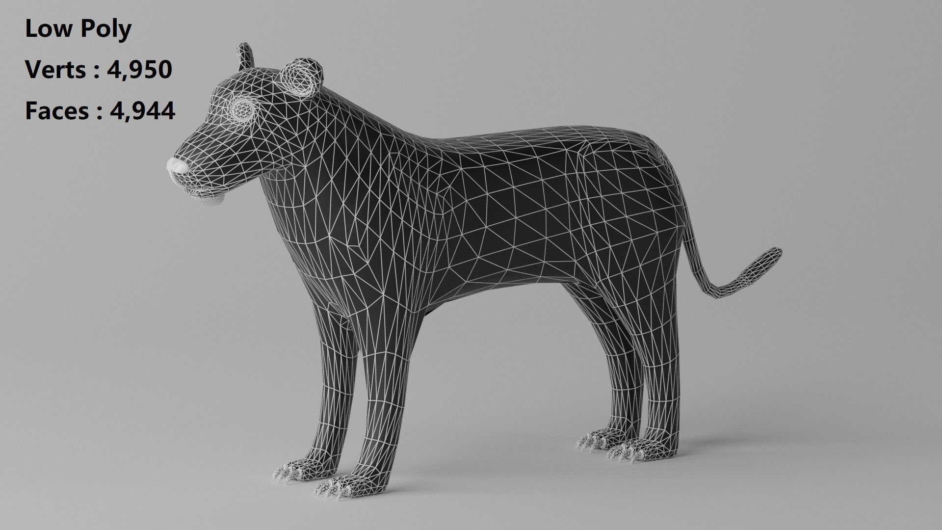 Cartoon Cute Lioness 3D model_11