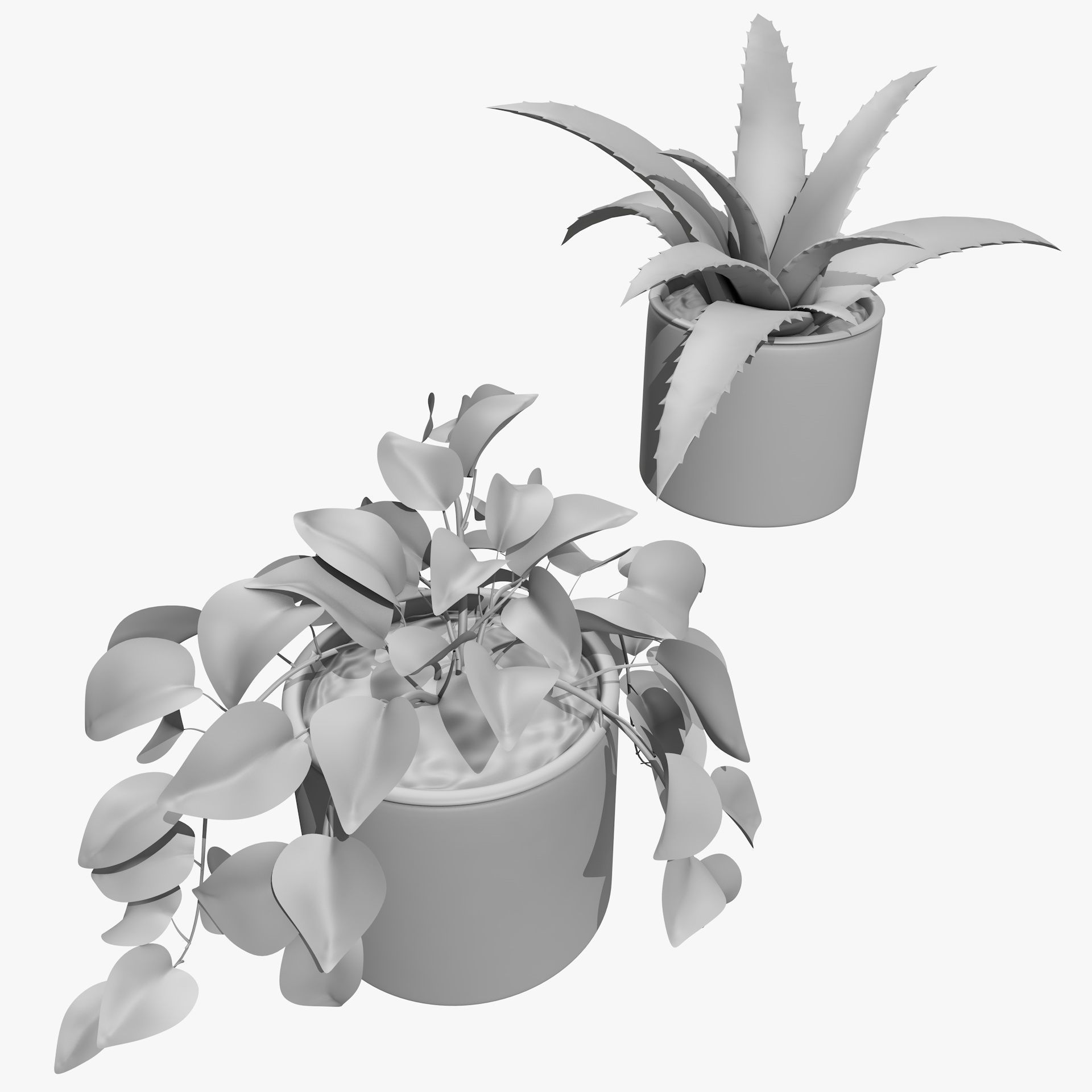 Interior Plants Aloe Vera Pothos Money Plant Pot Low-poly 3D model_19