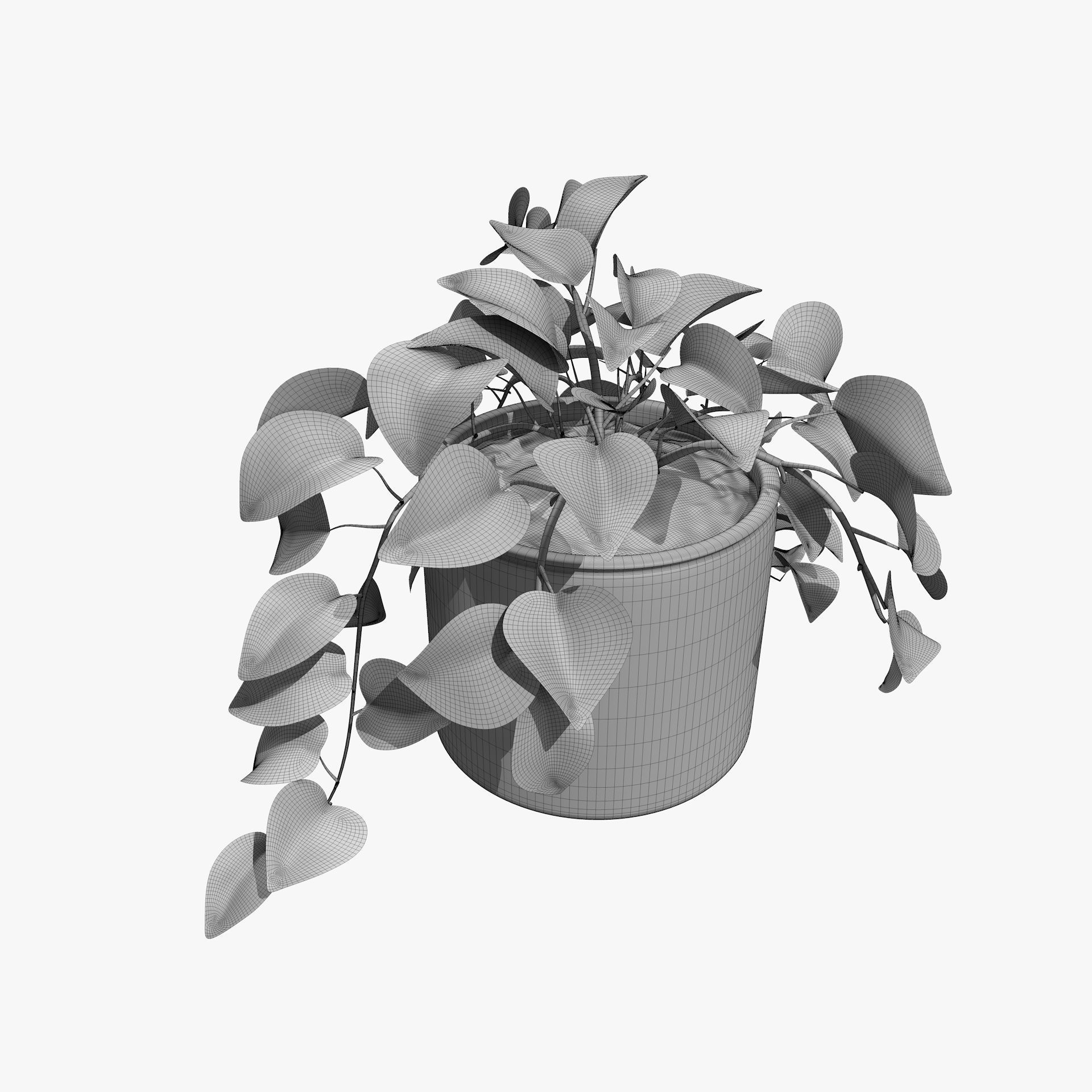 Interior Plants Aloe Vera Pothos Money Plant Pot Low-poly 3D model_3