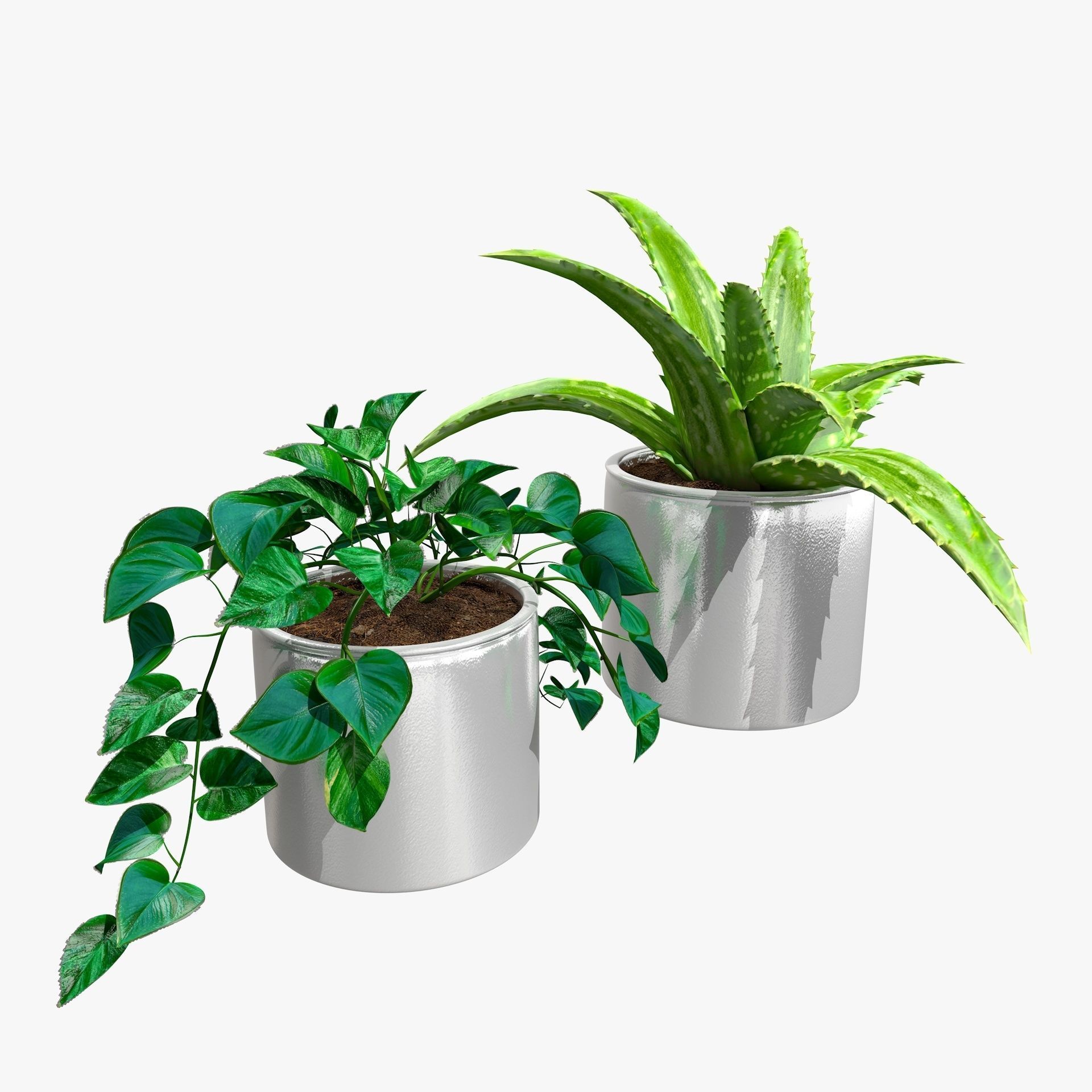 Interior Plants Aloe Vera Pothos Money Plant Pot Low-poly 3D model_15